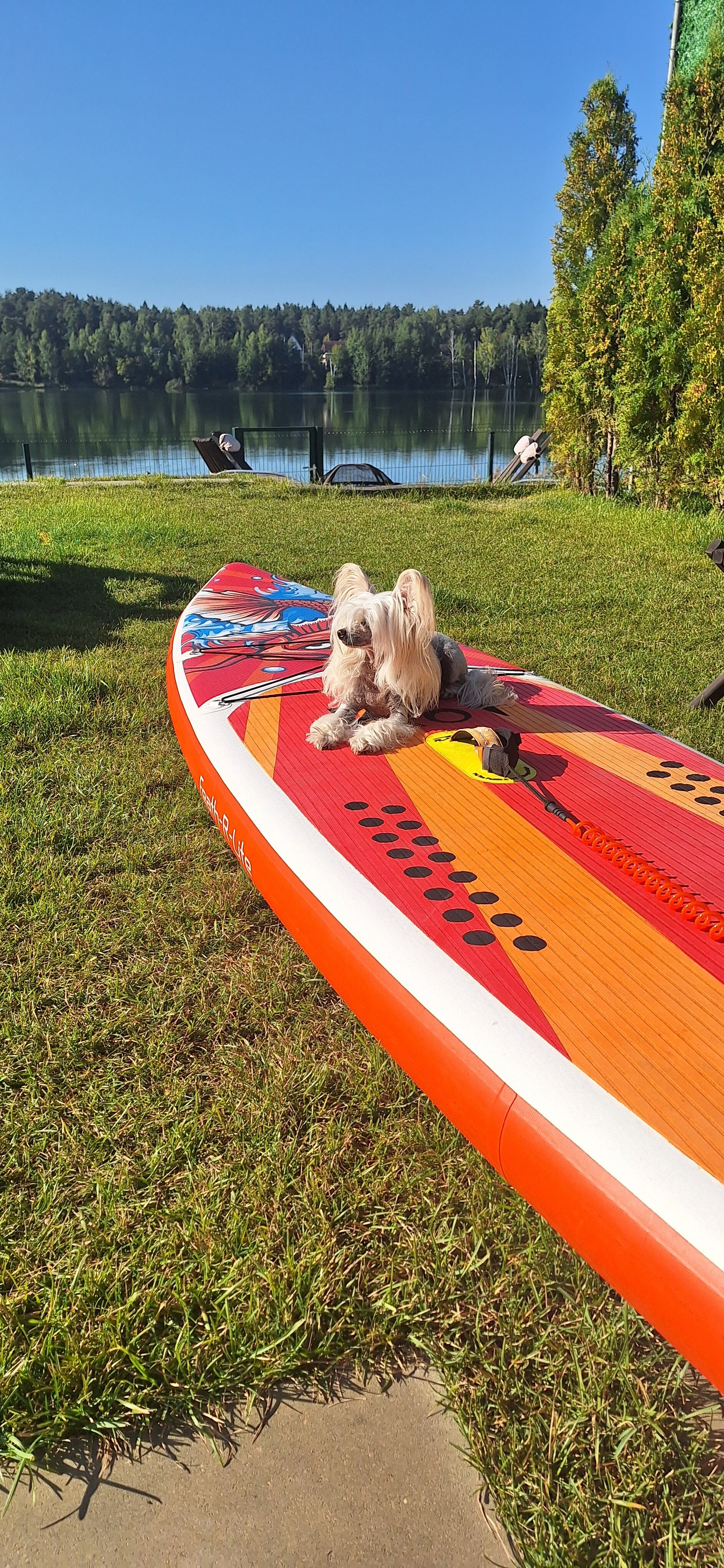 Фото Лейк хаус