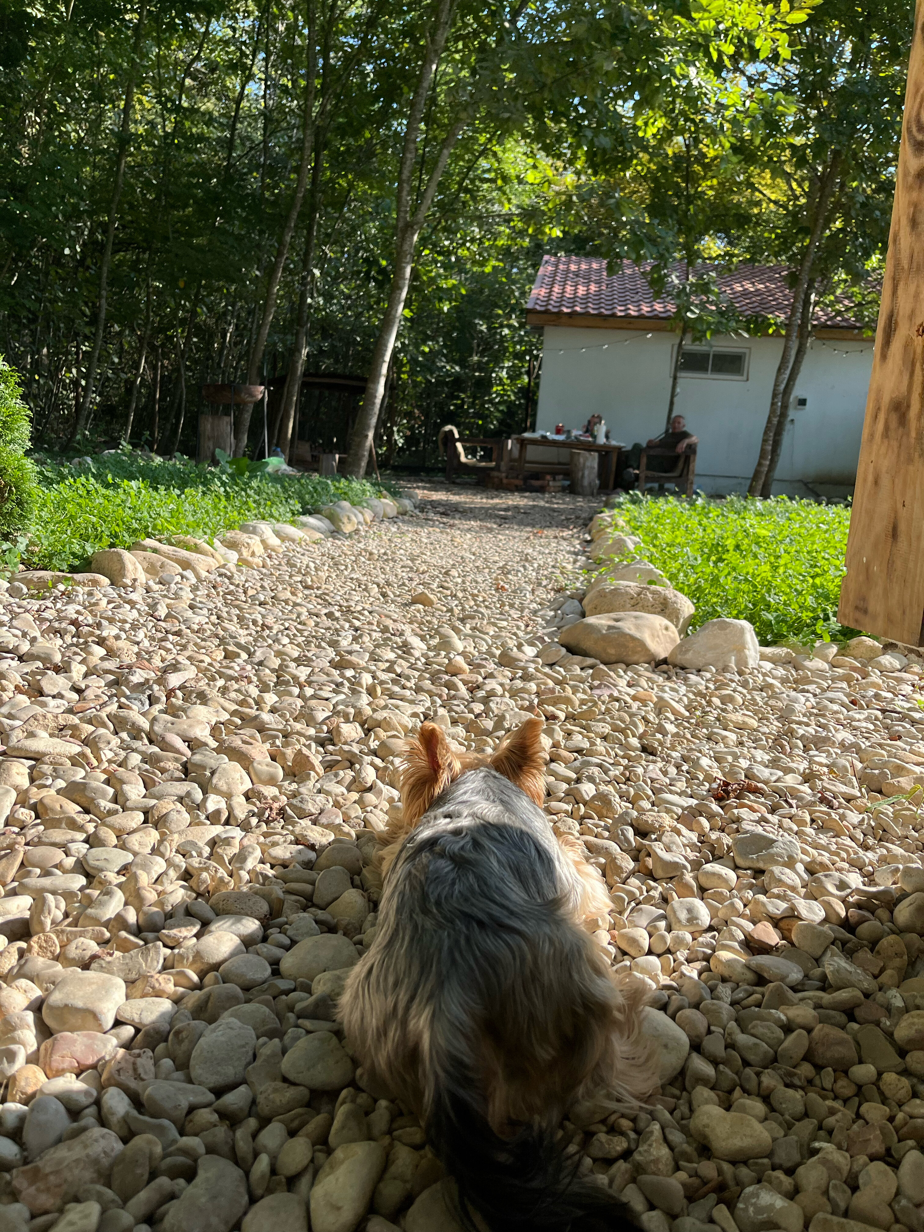 Фото Другой берег