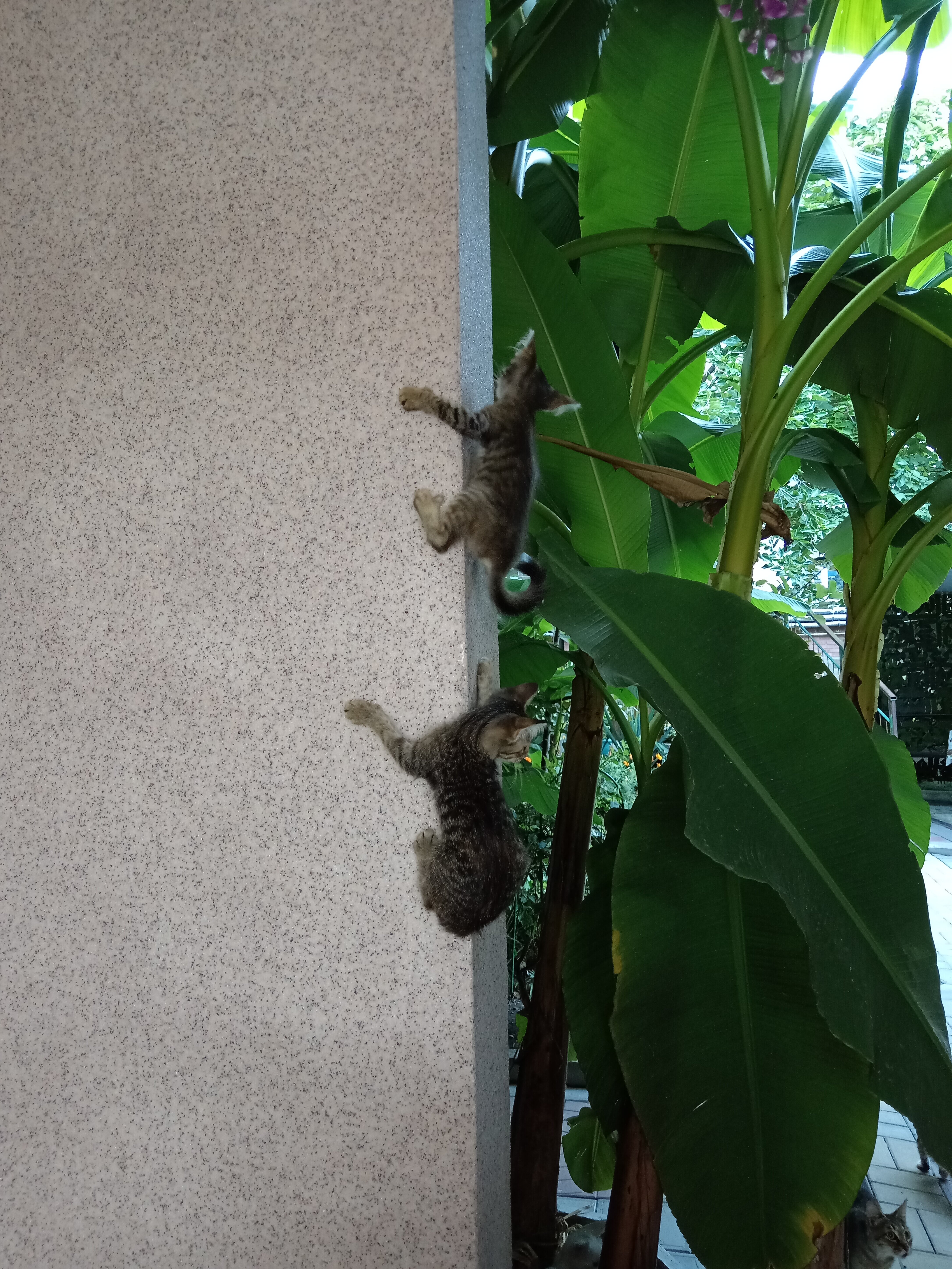 Фото У Михалыча