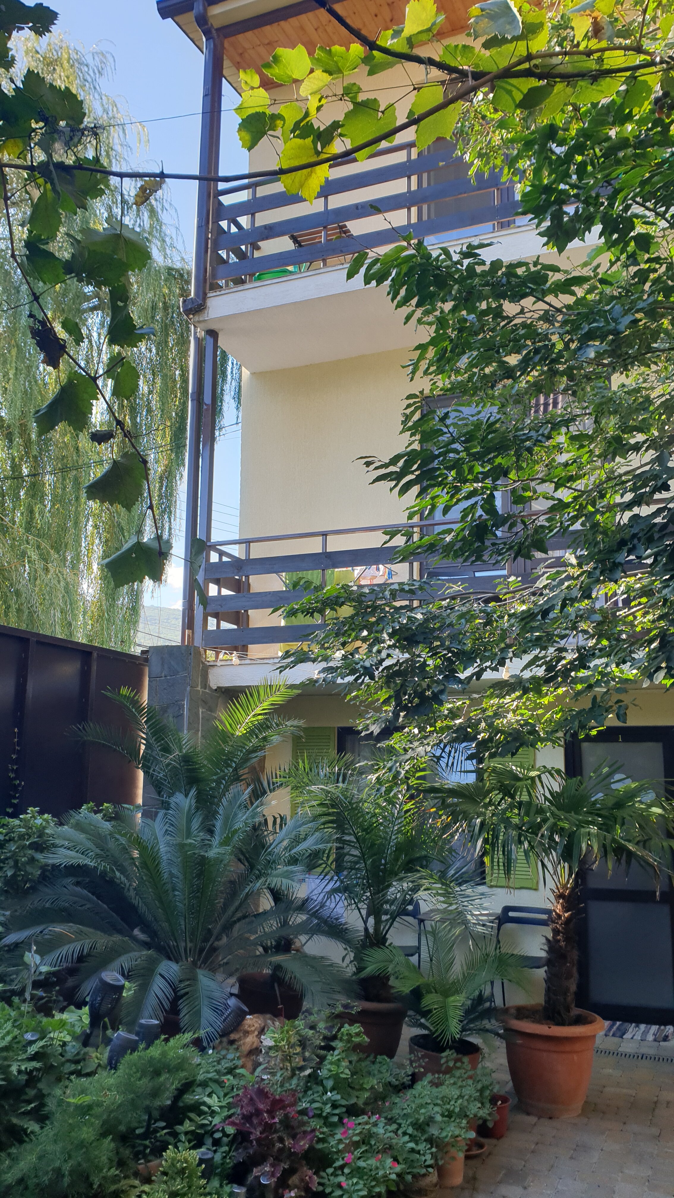 Фото Аннушка