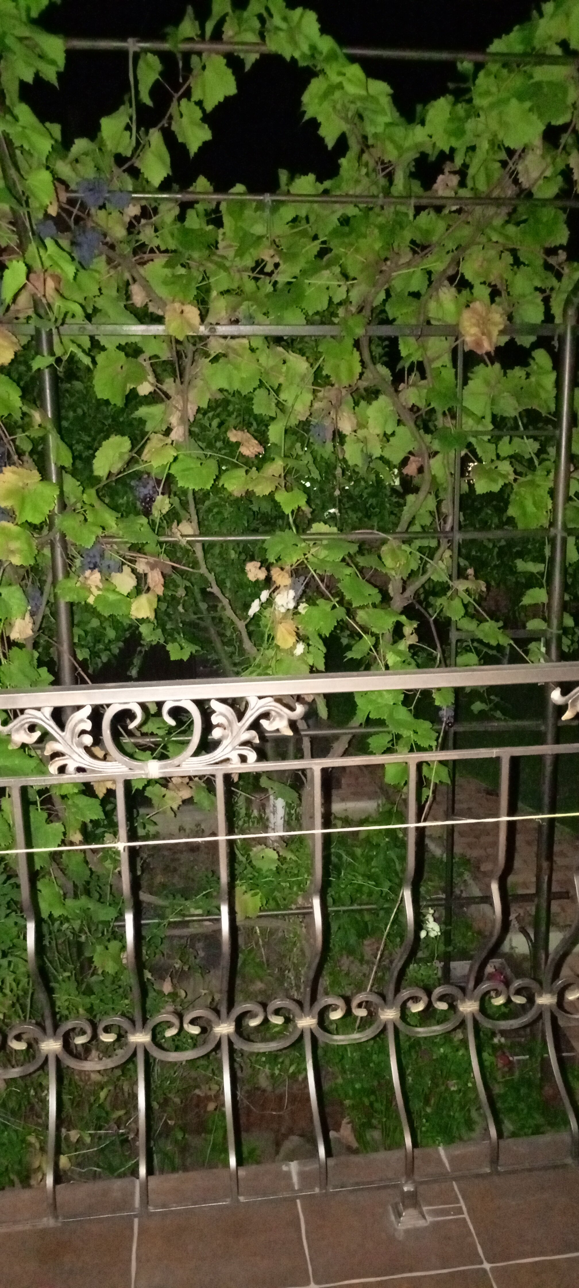 Фото Гермес