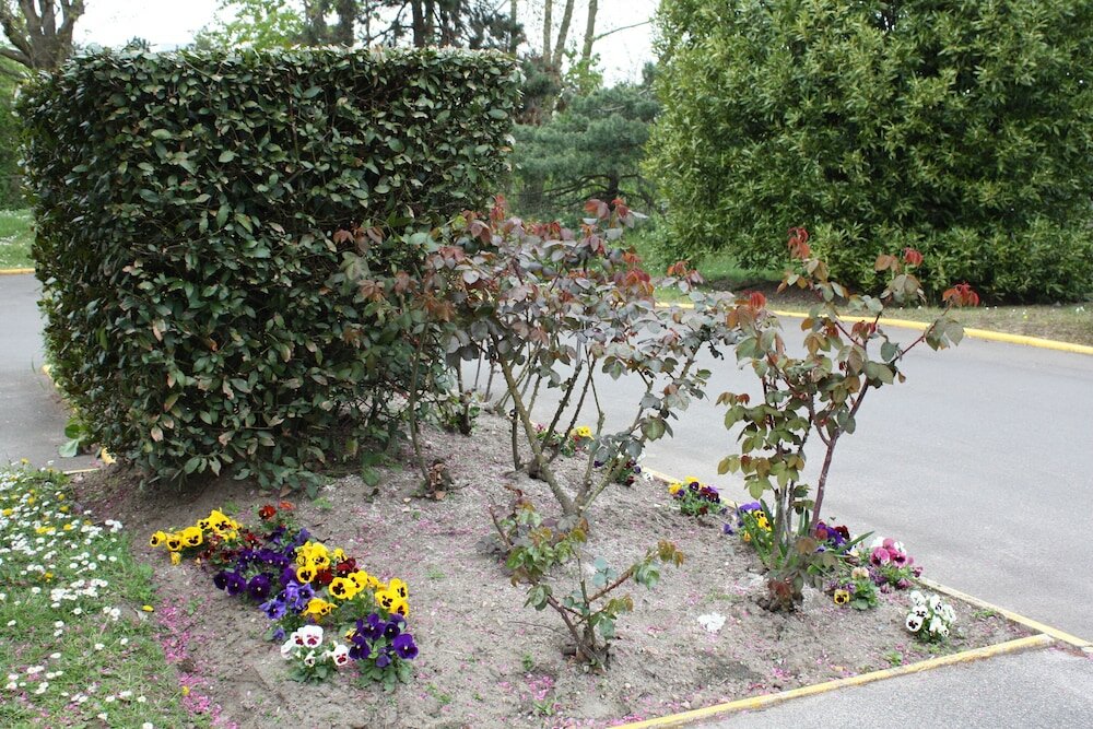 Фото Campanile Nature - Sannois Ermont