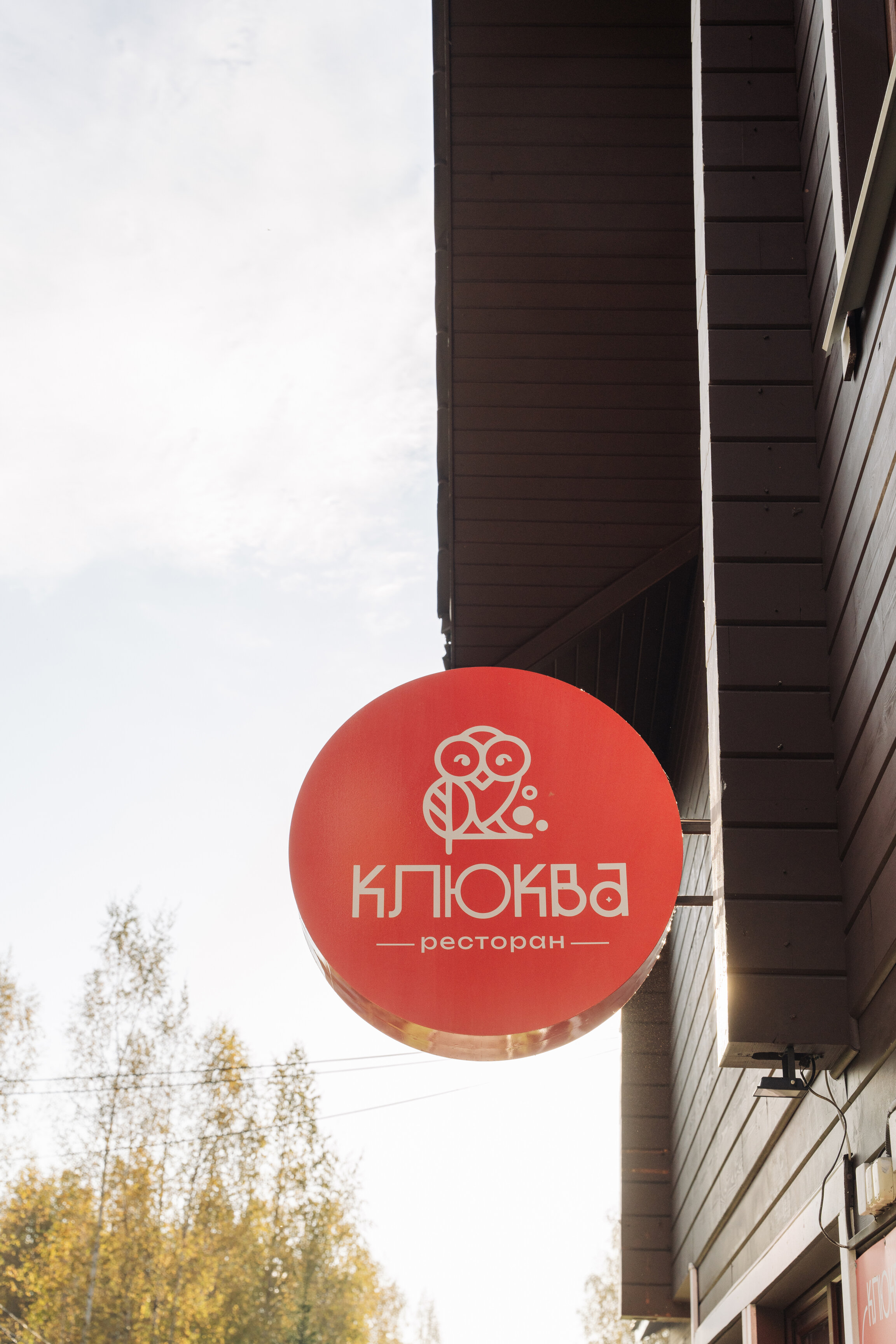 Фото Белый соболь