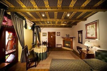 Фото Hotel U Páva