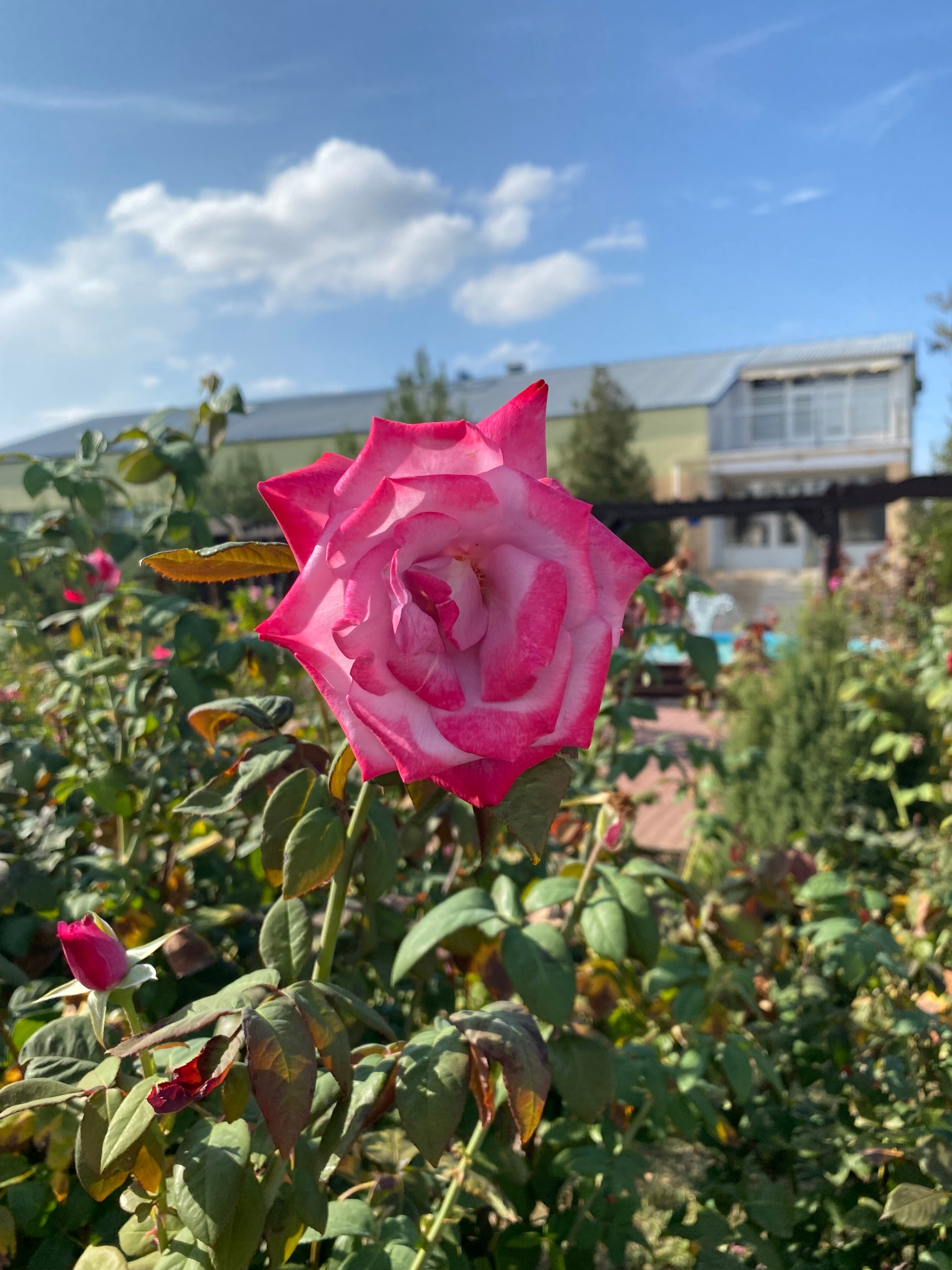 Фото Москва-Крым