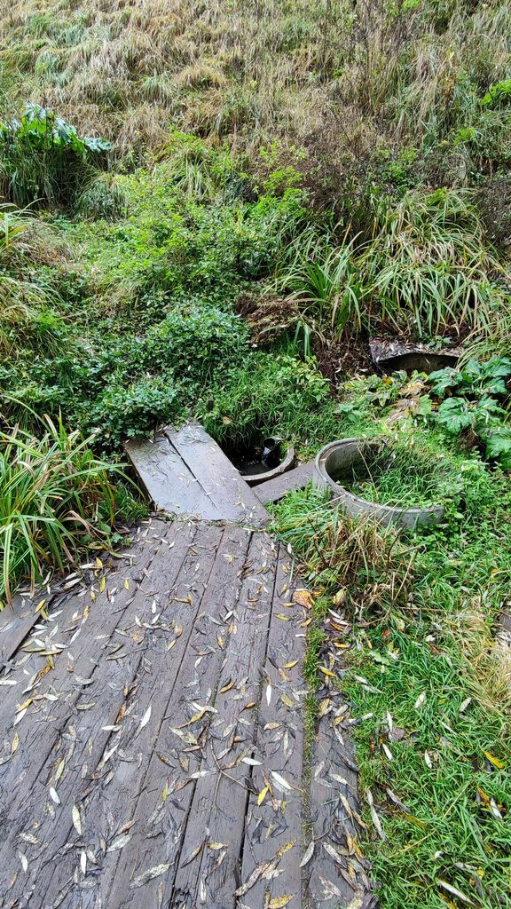 Bulaq, kiçik çay Никольский родник, , foto