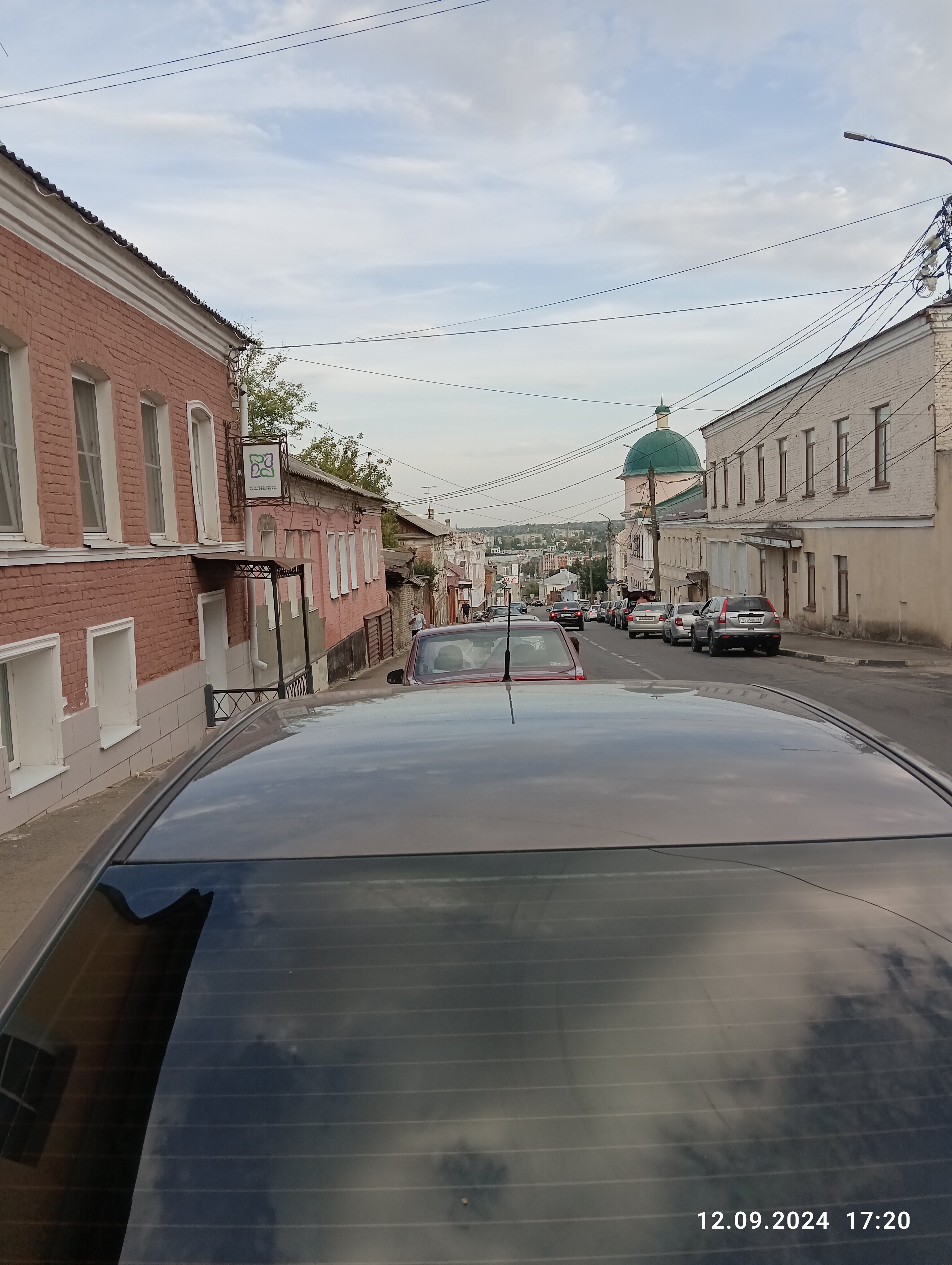 Фото Базилик