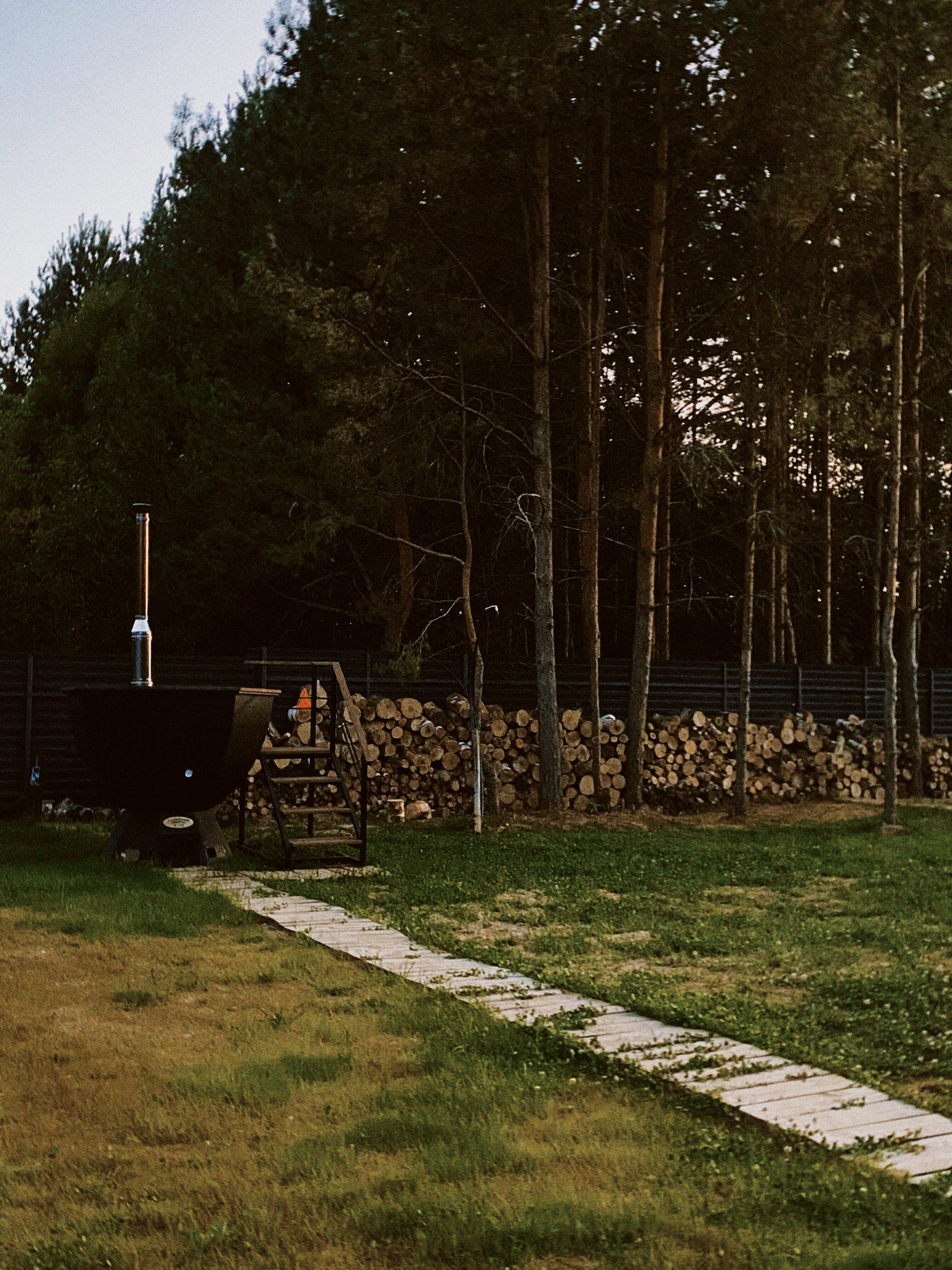 Фото Шепот Леса