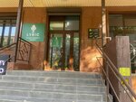 Lyric Vocal Music Studio (Ádı Sháripov kóshesi, 100), cursos y clases magistrales