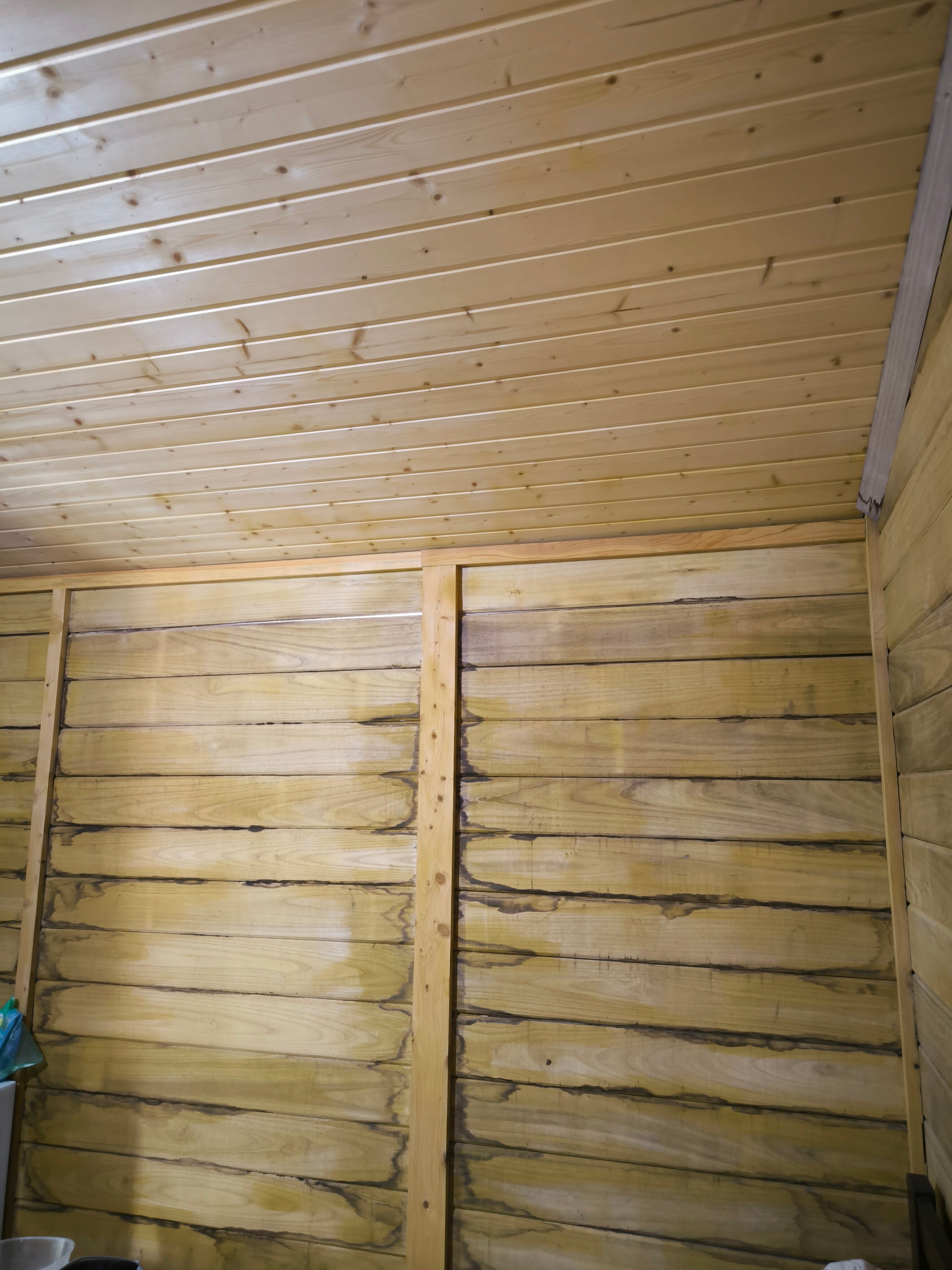 Фото Феникс