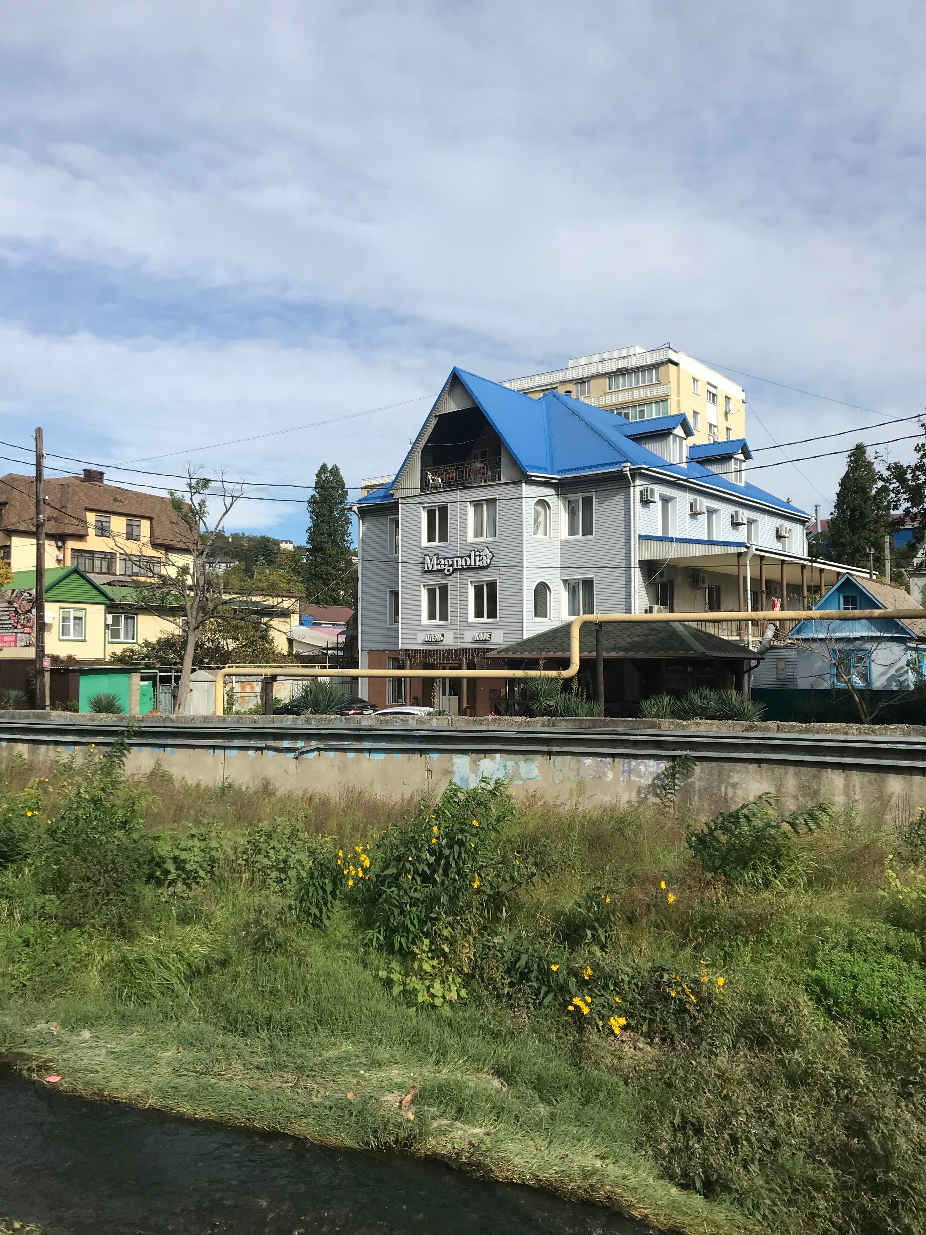 Фото Магнолия