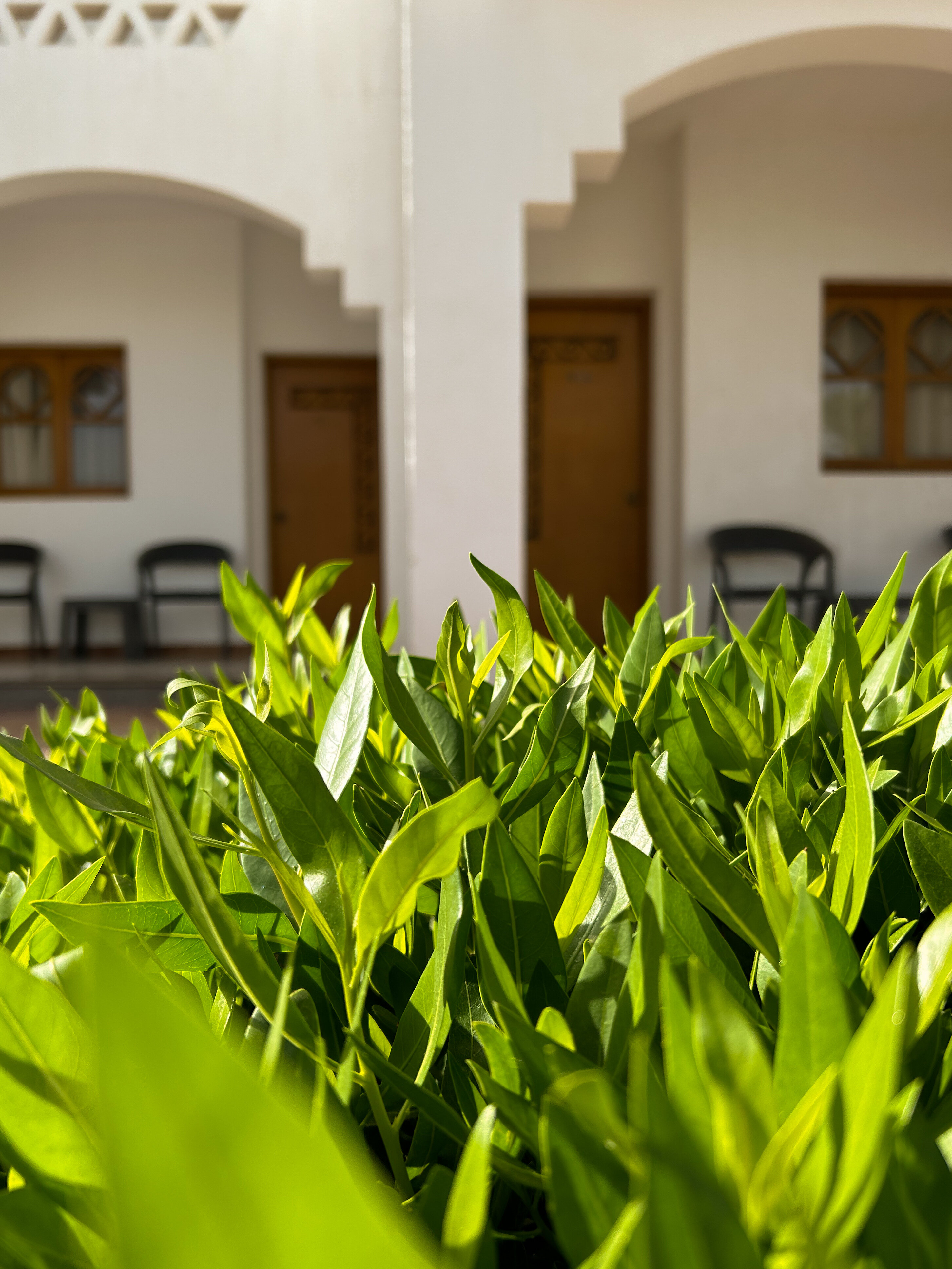 Фото Dive Inn Resort