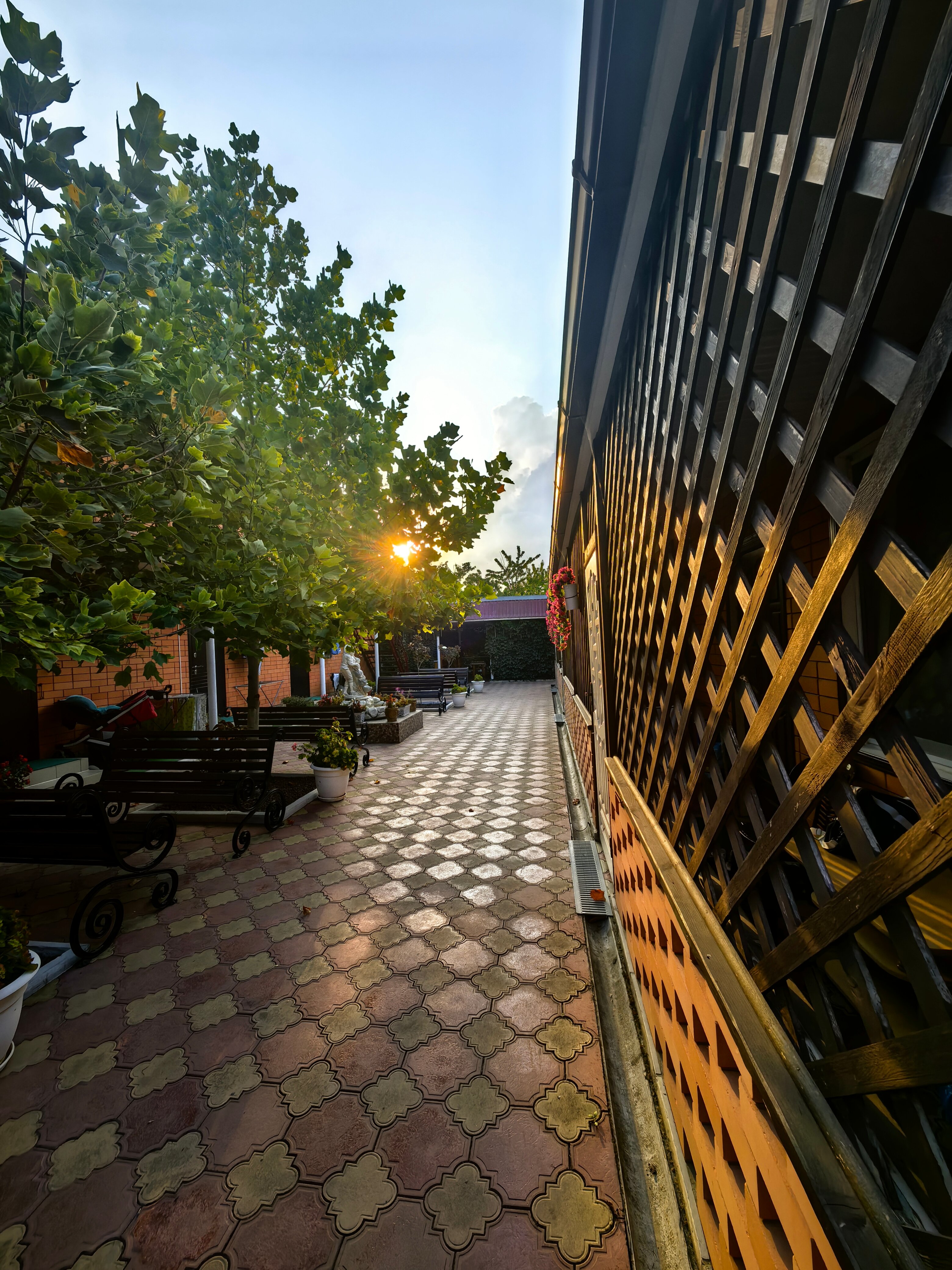 Фото Золотые Пески