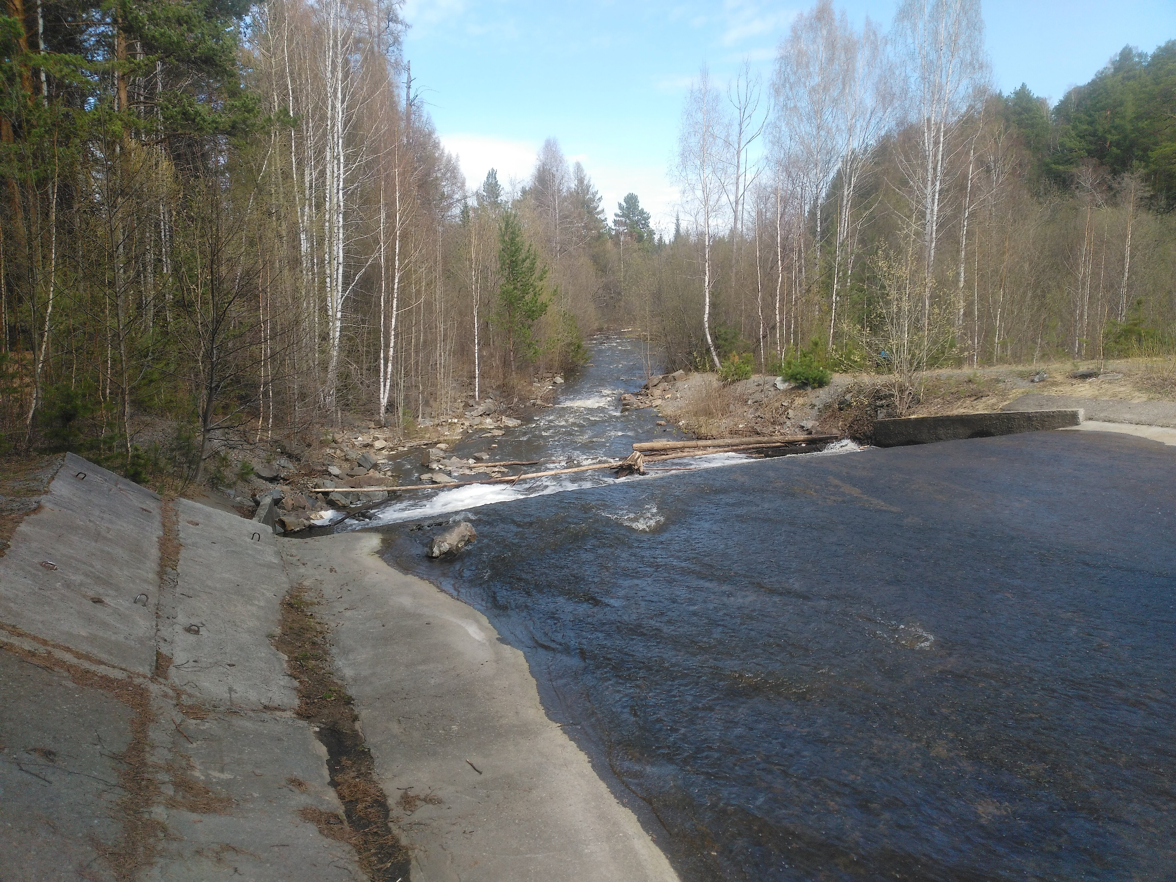 Фото Лесная сказка