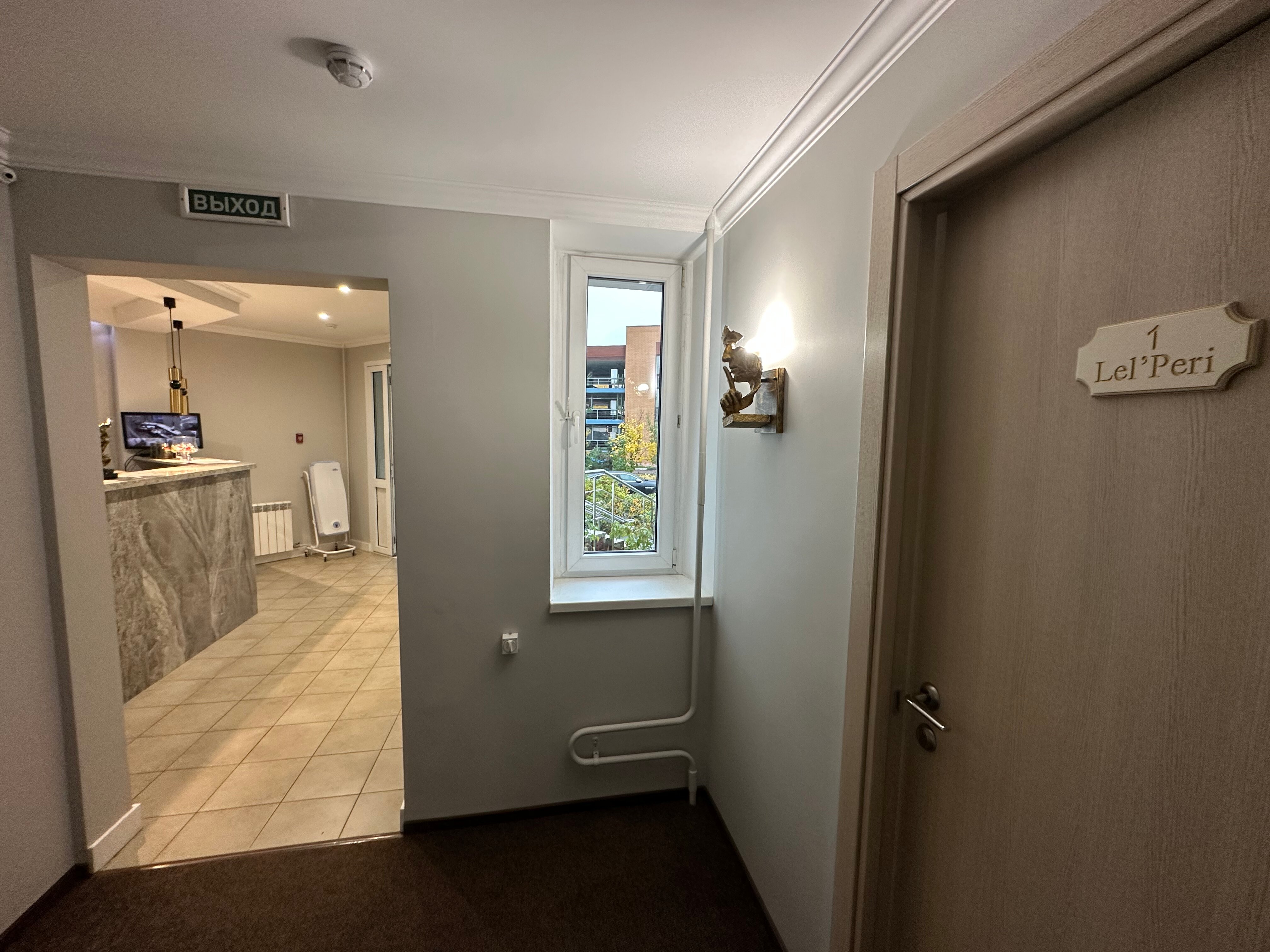 Фото Сова на Планерной