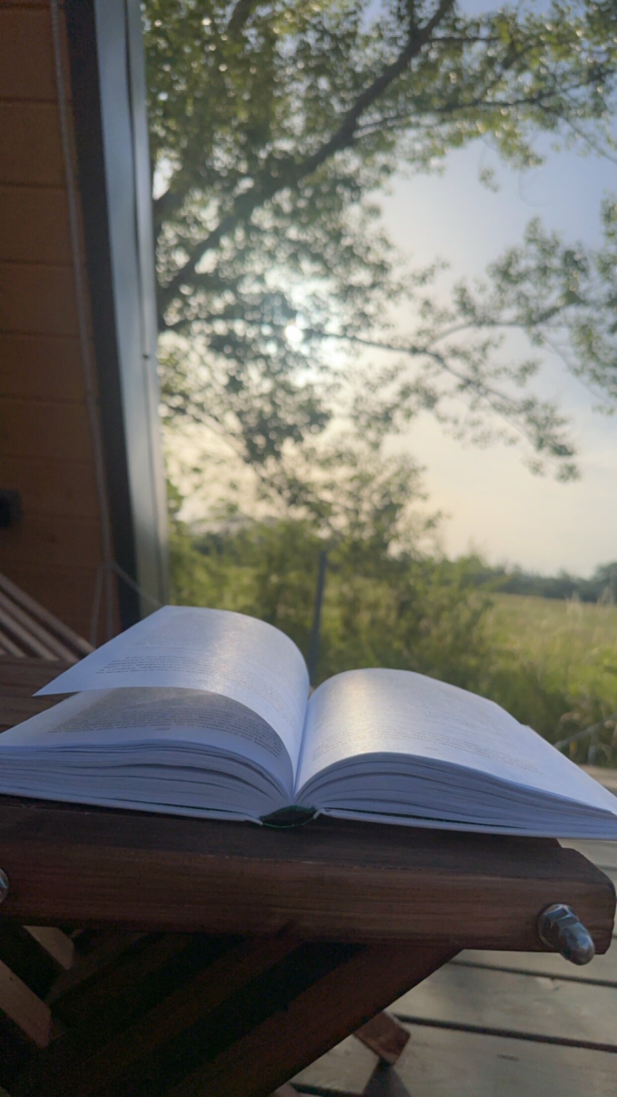 Фото Alisa Aframe