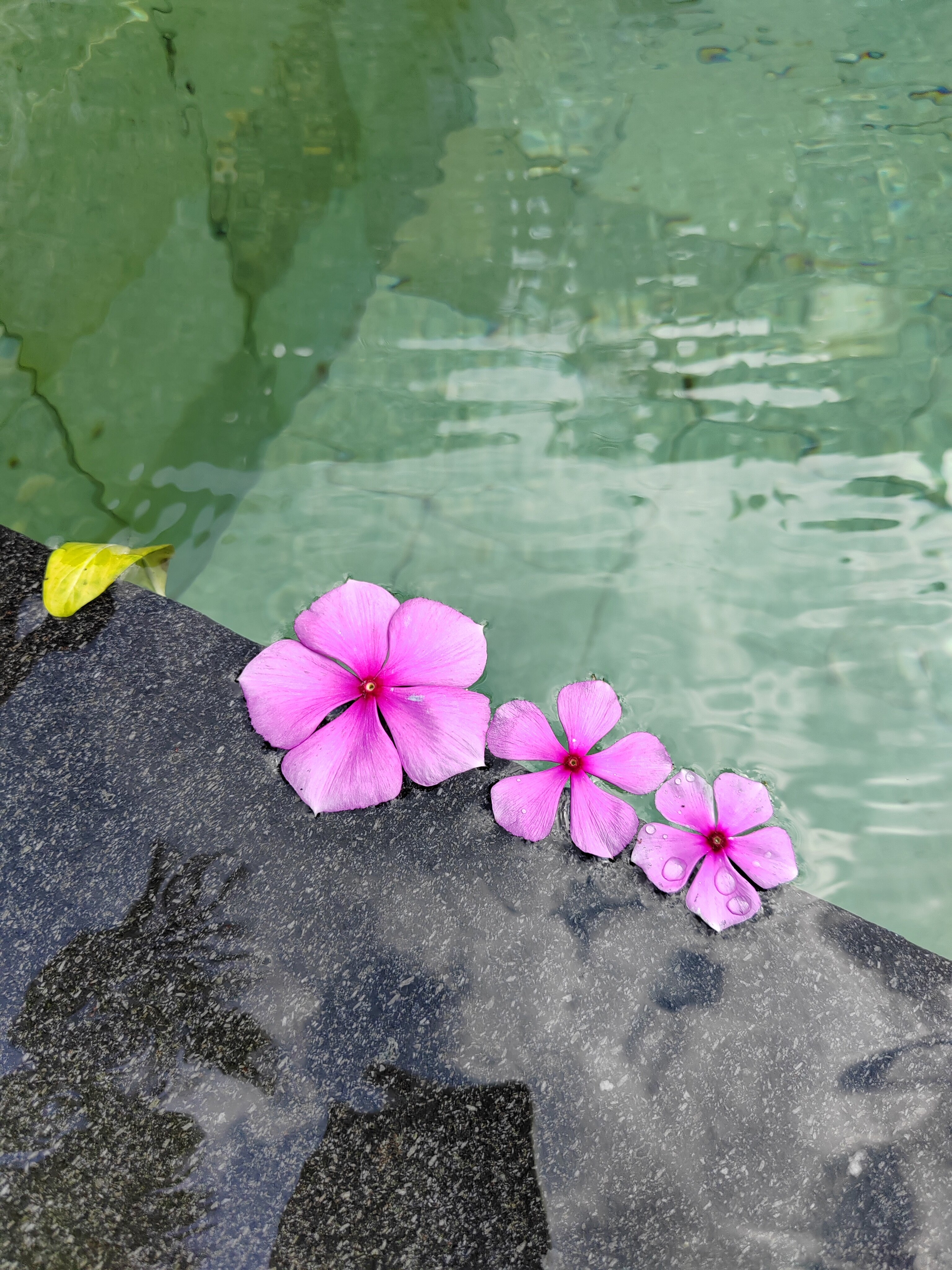 Фото The Grand Bali Nusa Dua