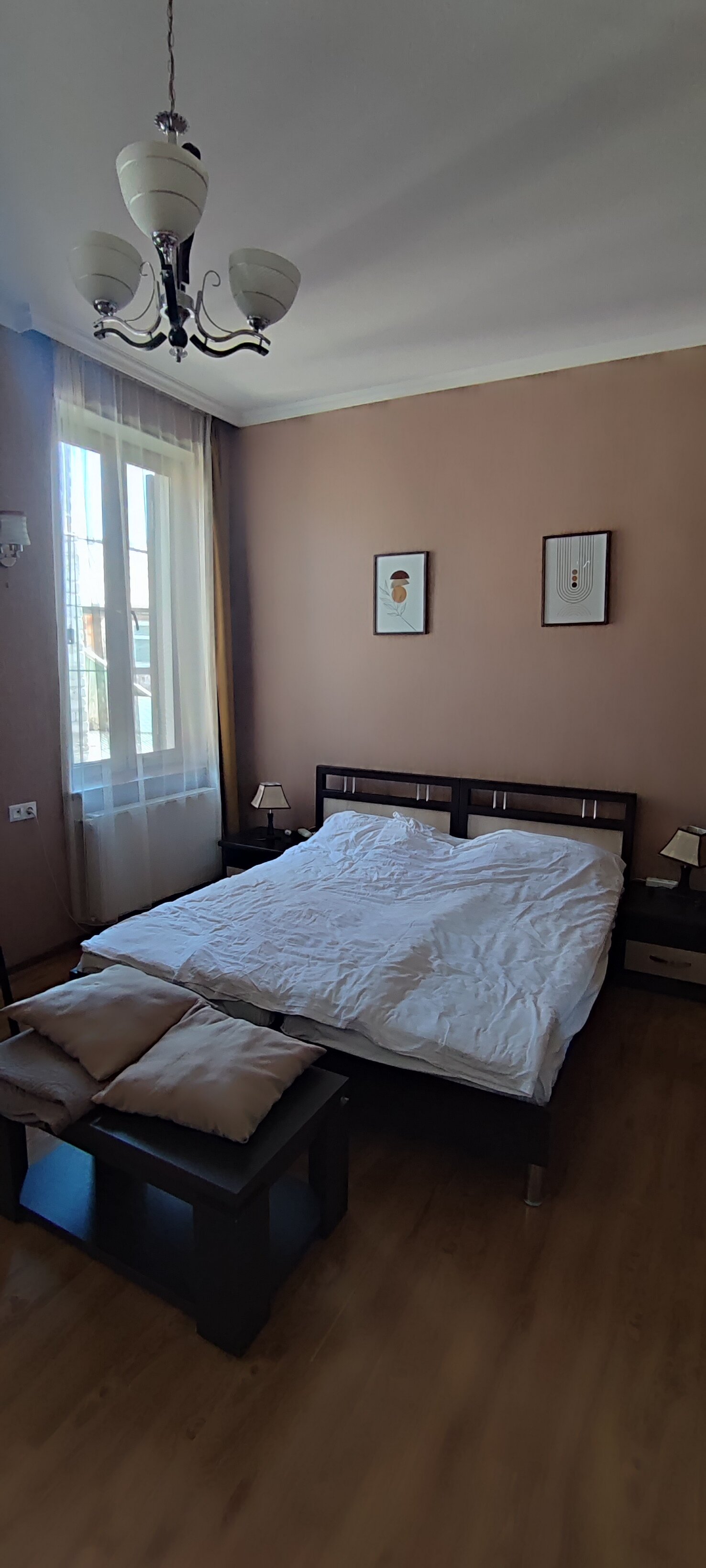 Фото Фламинго