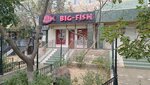 BigFish (9-shy shaǵyn aýdan, 30), barra de sushi