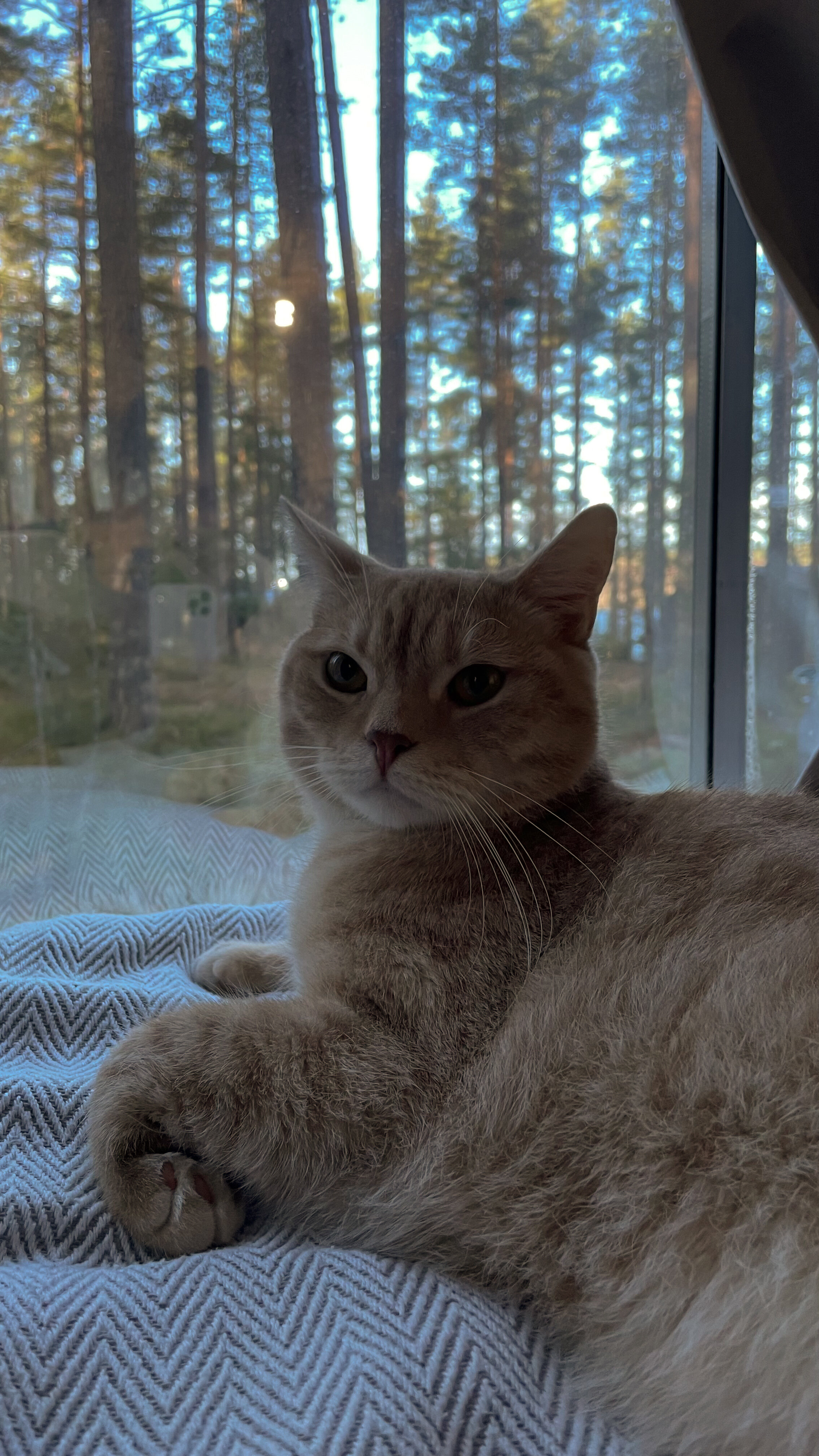 Фото Зеркальное СПА