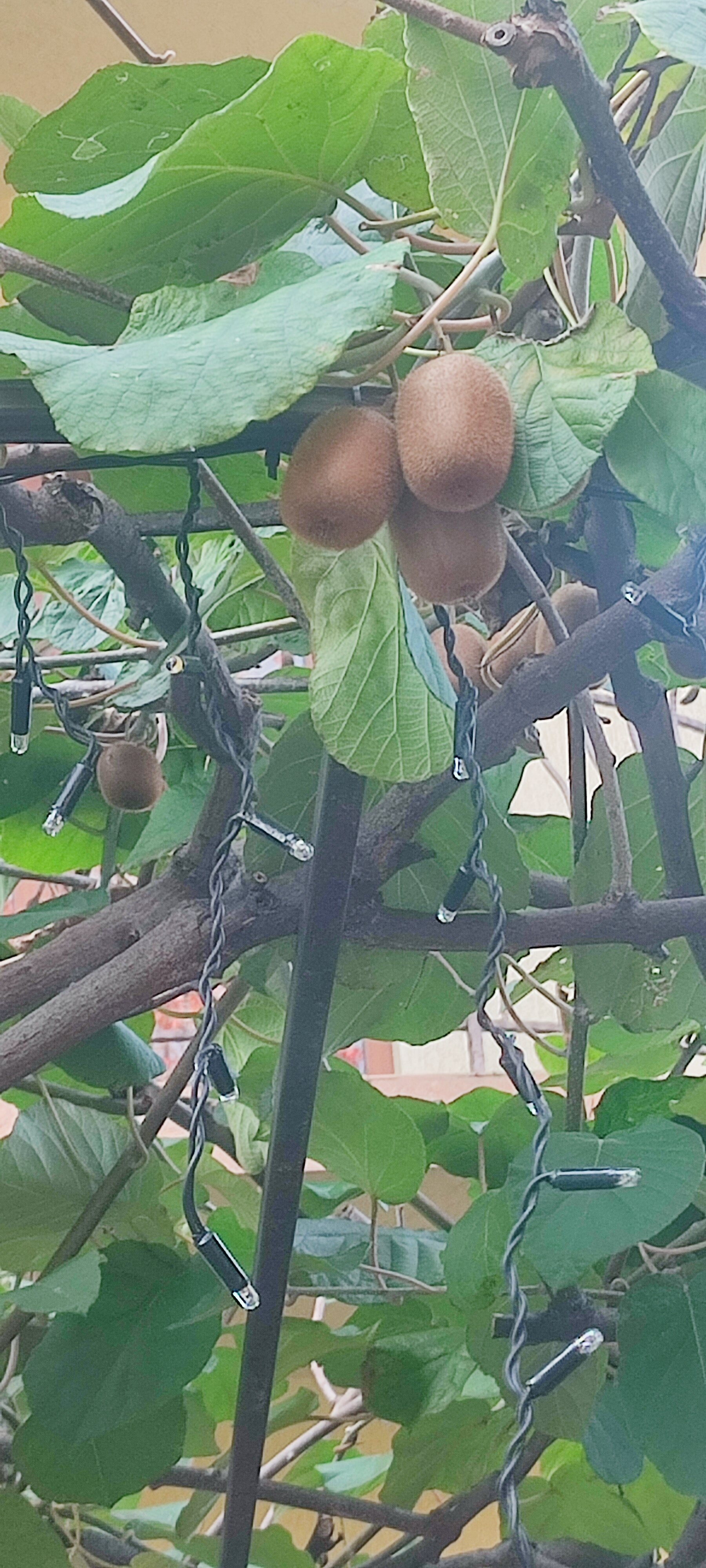 Фото Надежда