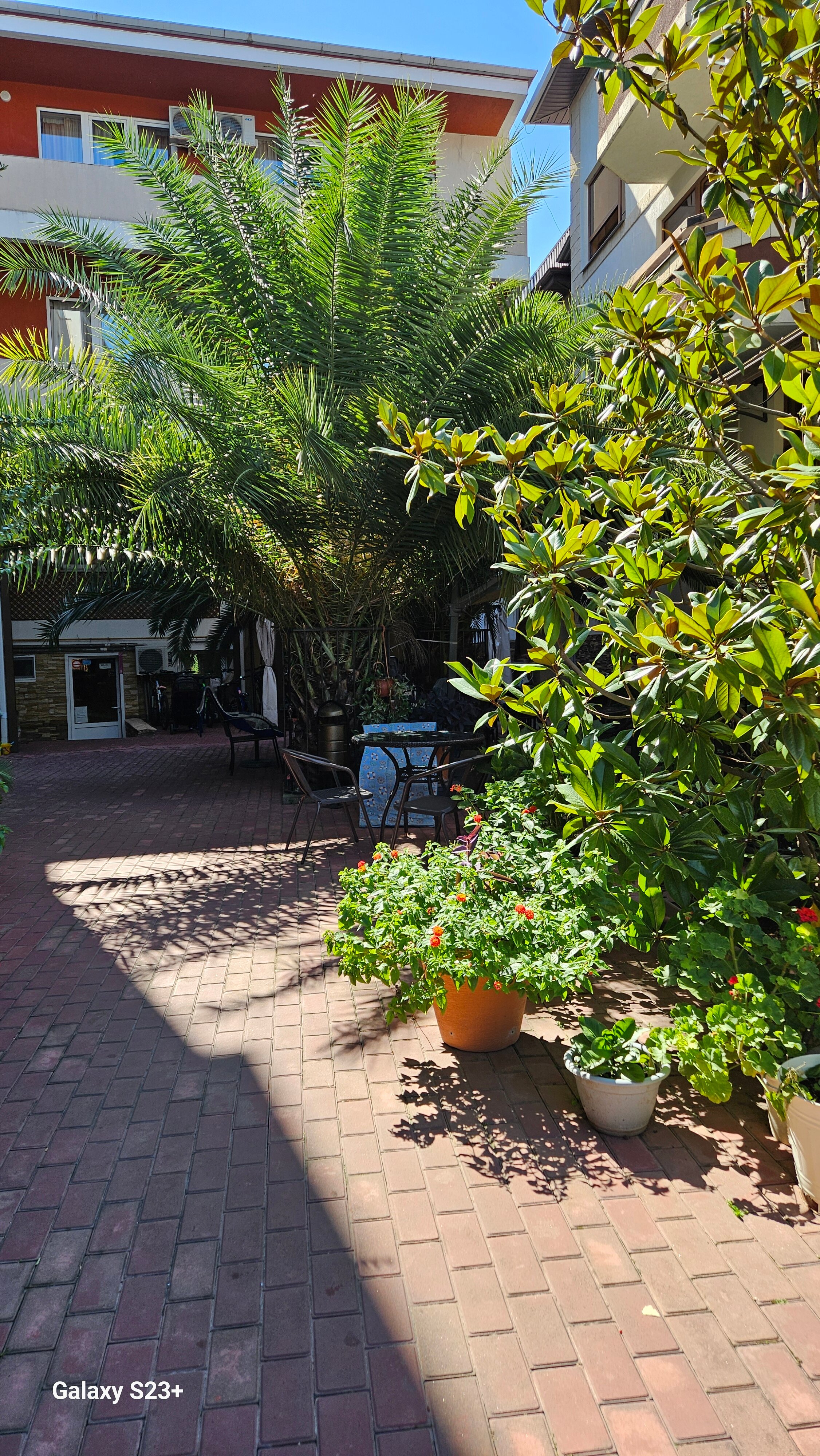 Фото Апартаменты на Тюльпанов