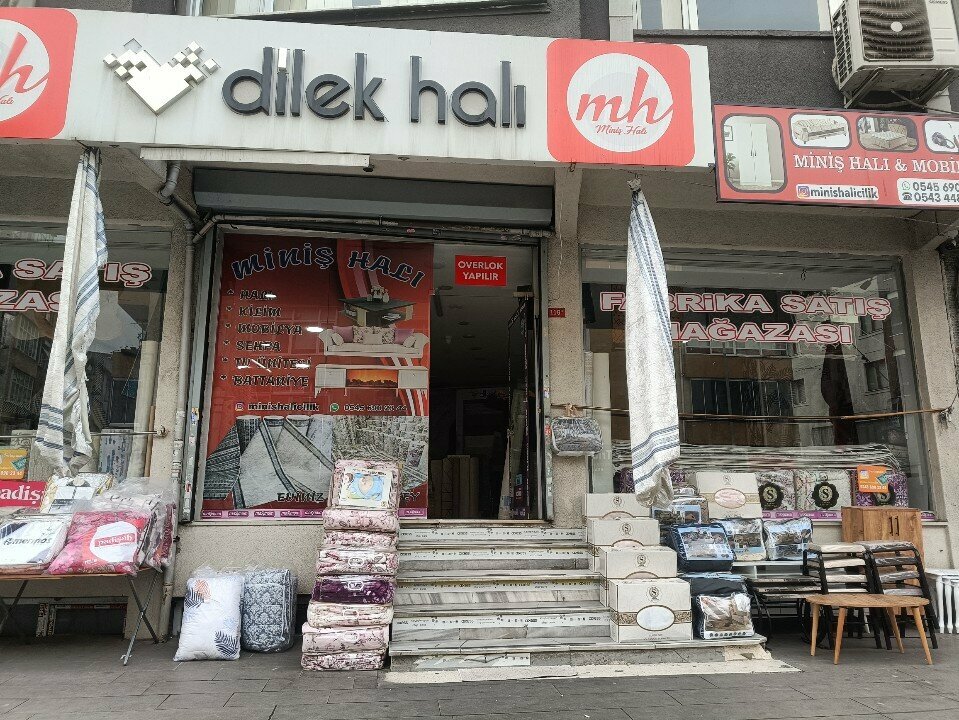 Carpet shop Minis carpets and furniture, Istanbul, photo