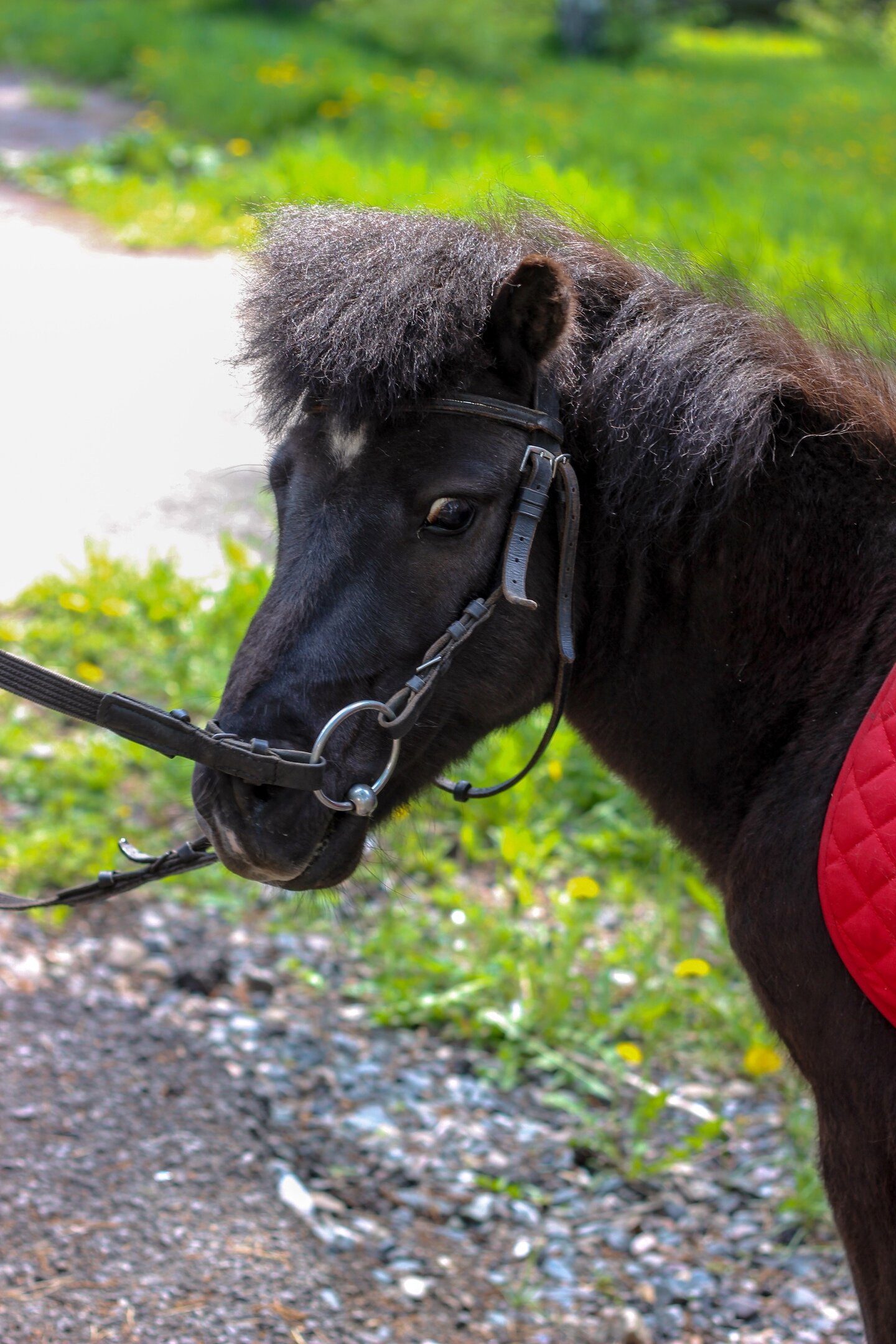 Фото Эко-комплекс Логово