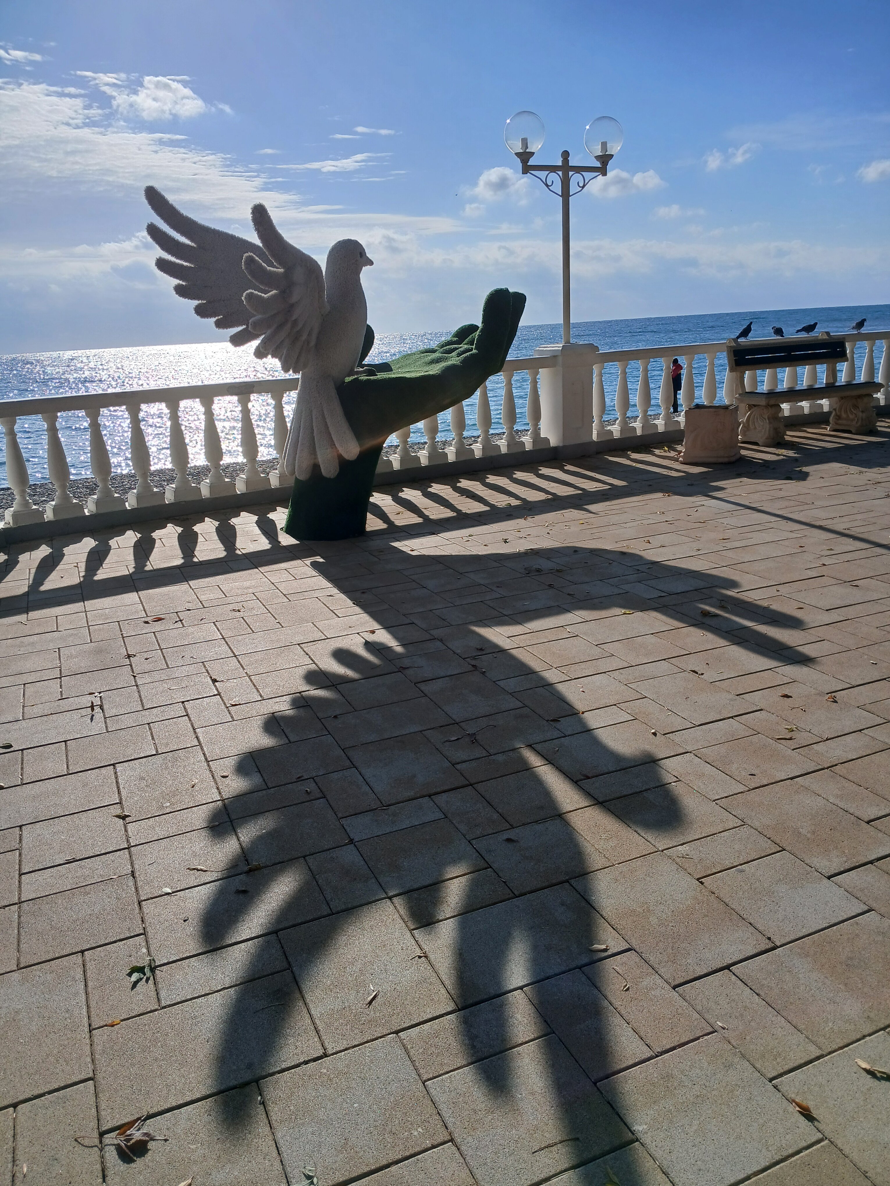 Фото Фламинго