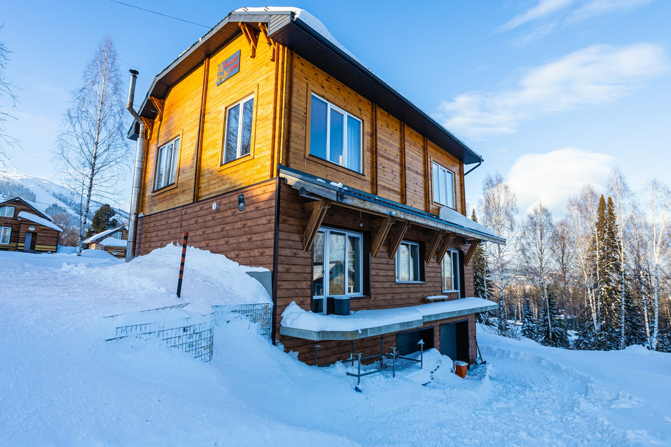 Фото Рыжий пони