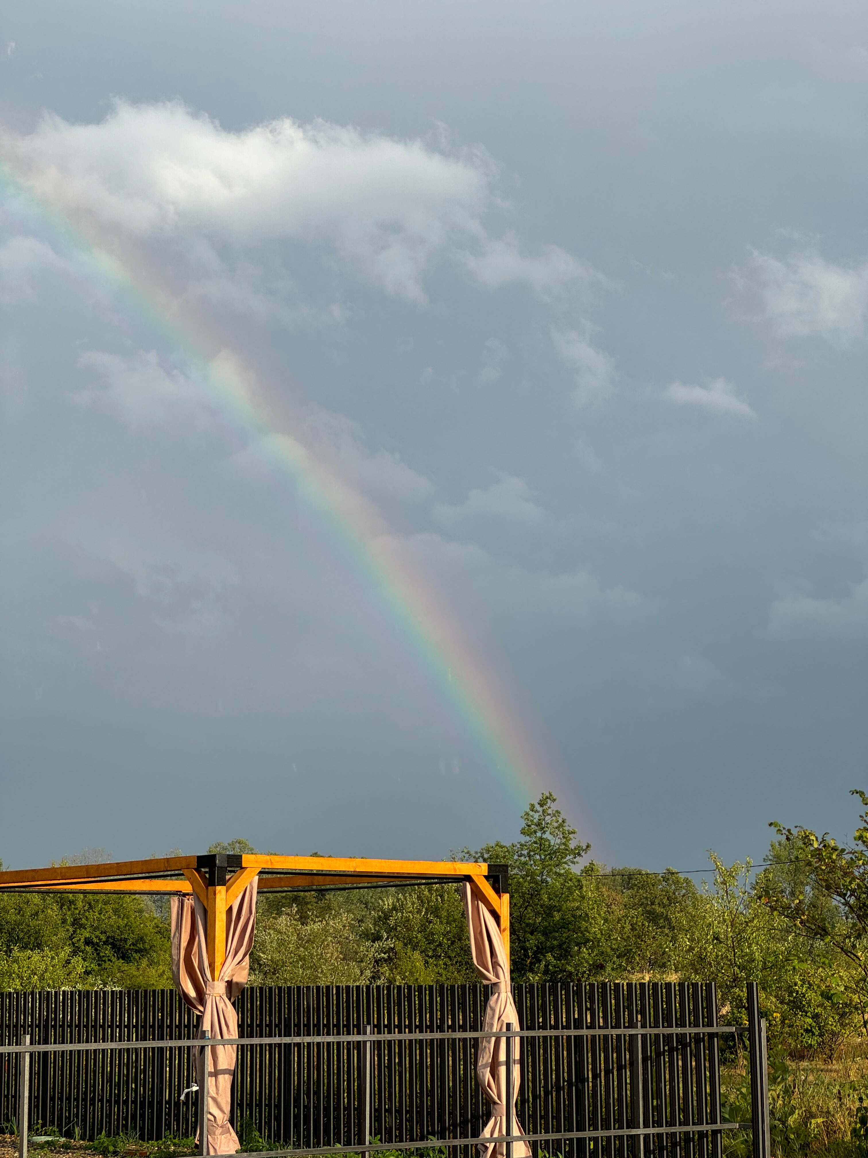 Фото Видисвет