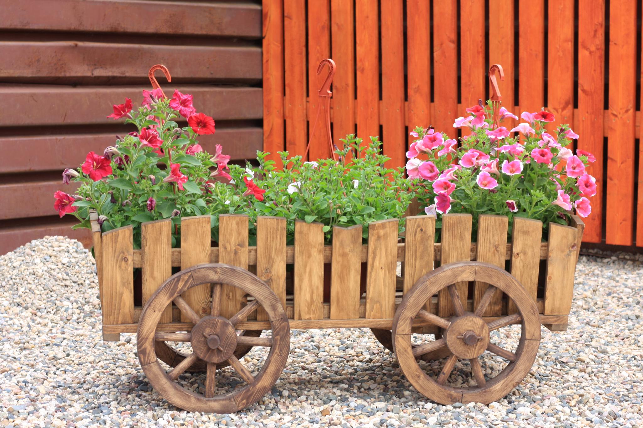 Фото Два крыла