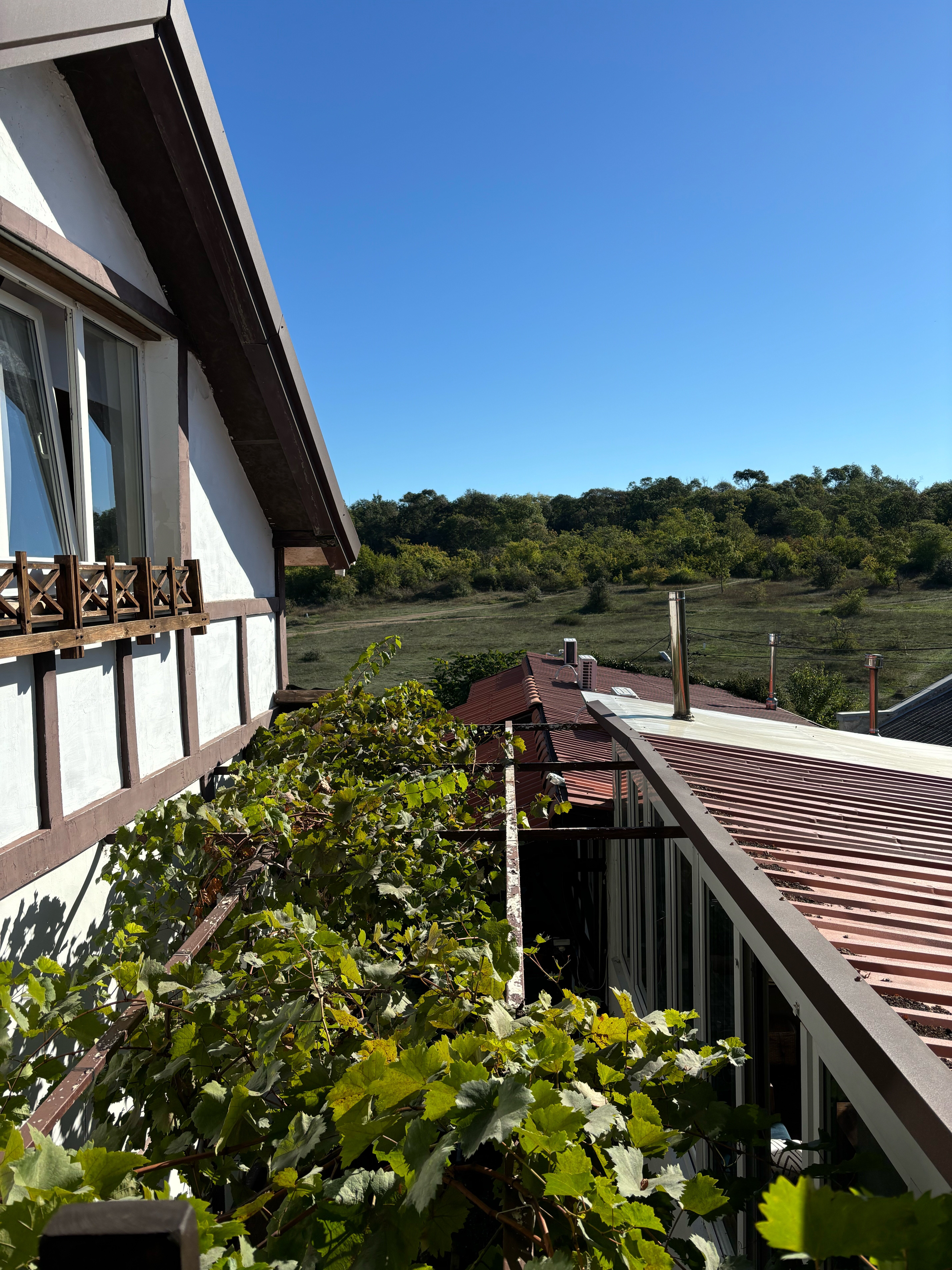 Фото Шато Бужор