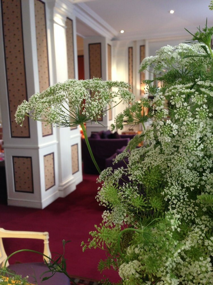 Фото Hôtel Le Saint-Grégoire