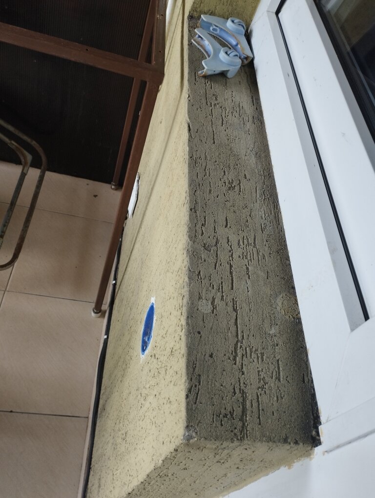 Фото Орхидея