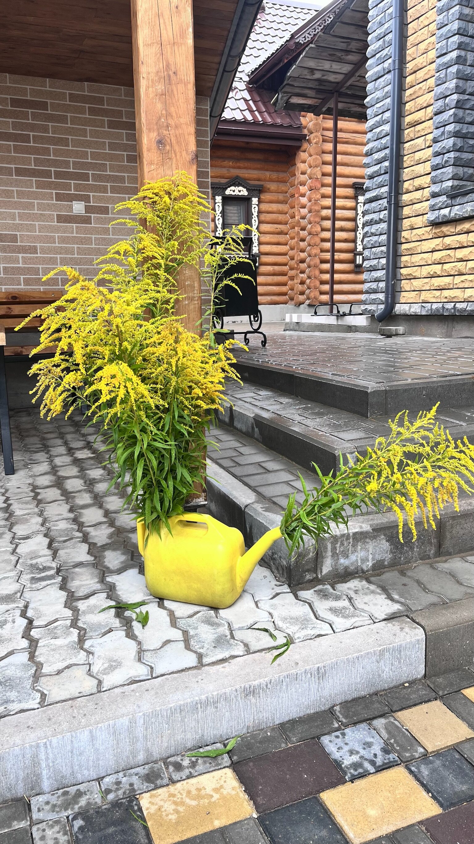 Фото Боярин