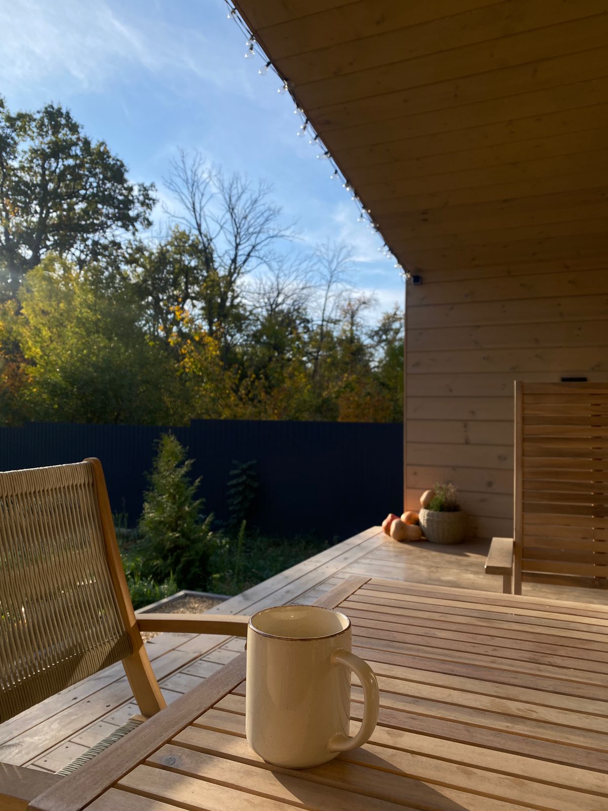 Фото Гуси House