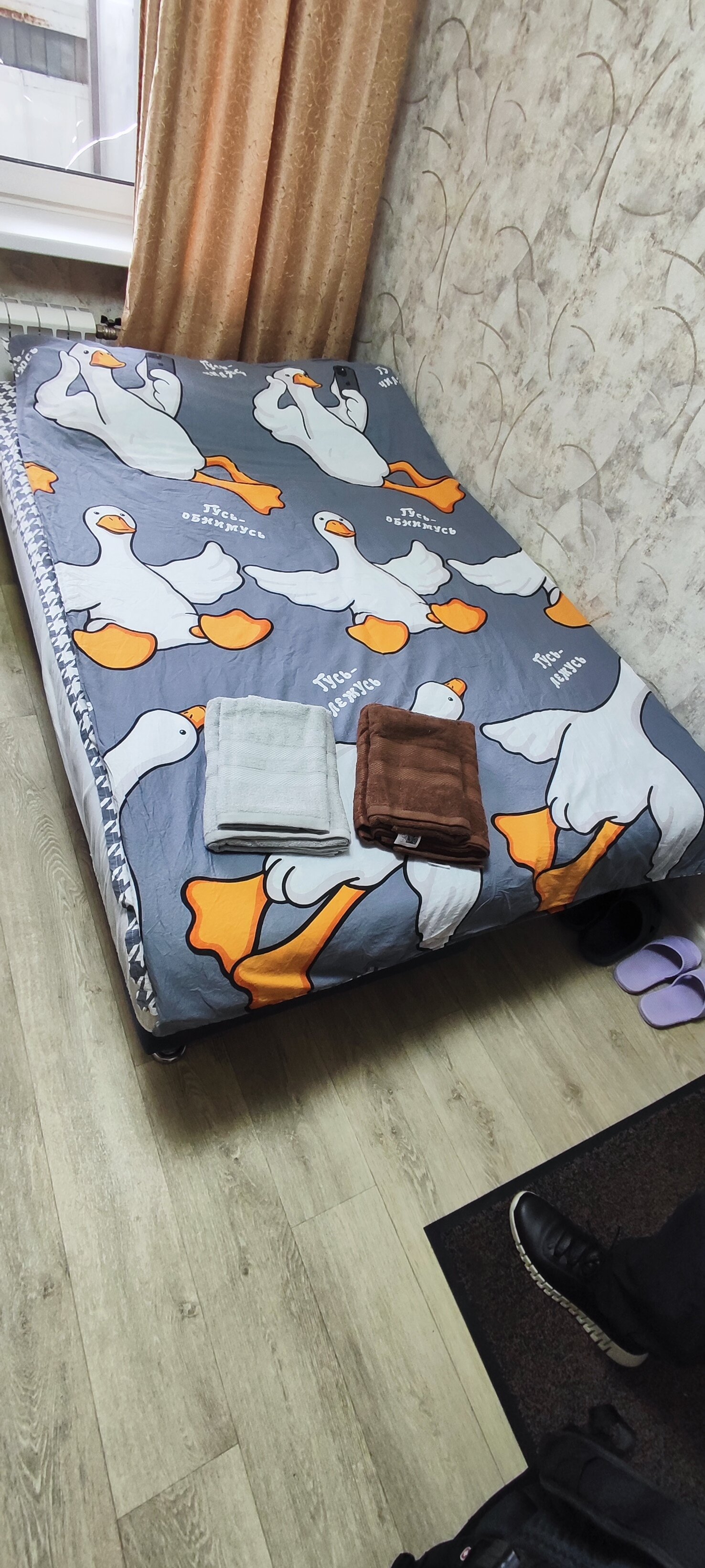 Фото Студии Радуга Зеленоград