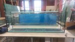 Арг (Gelsingforsskaya Street, 3В), aquariums