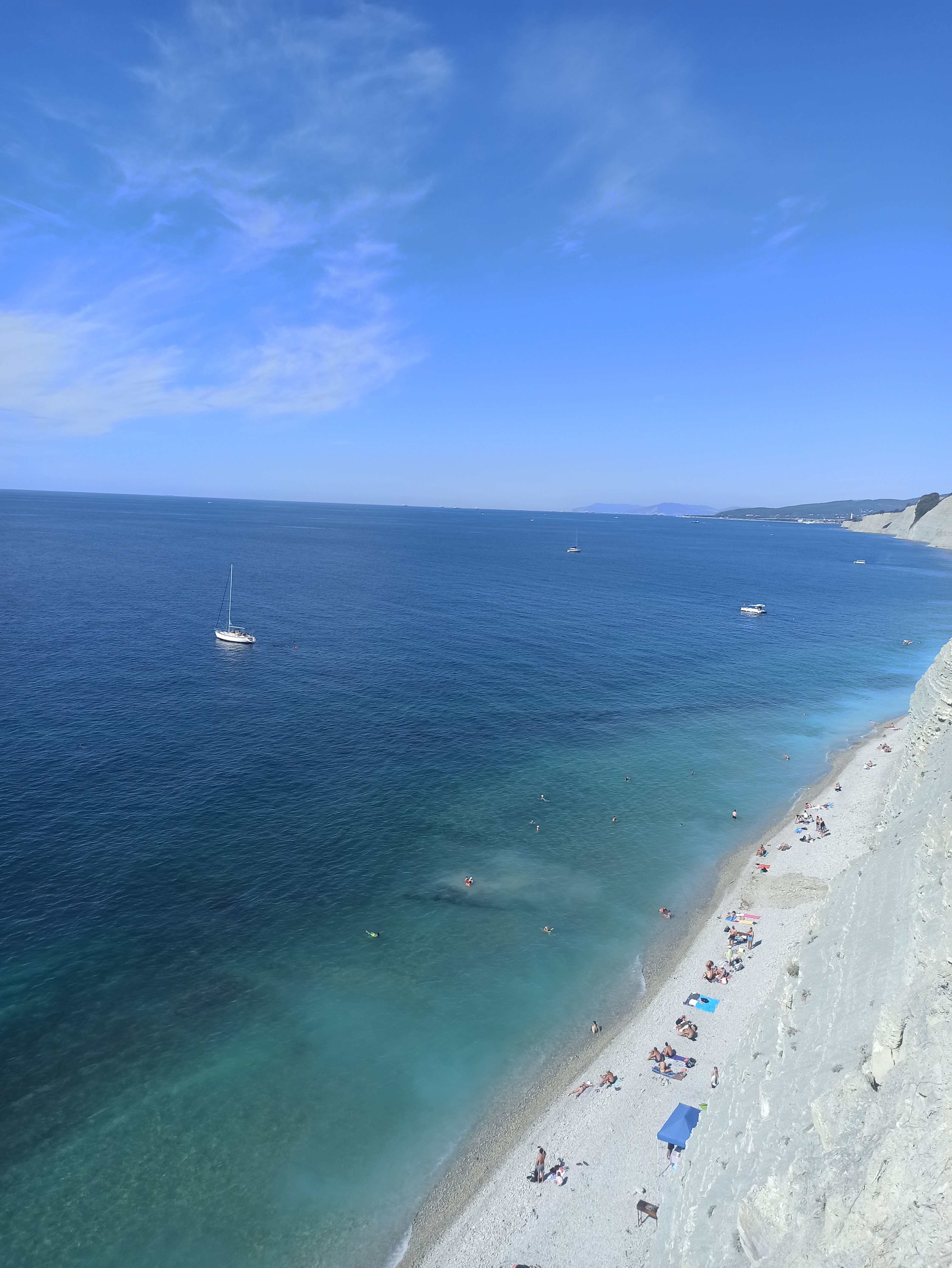 Фото Орхидея