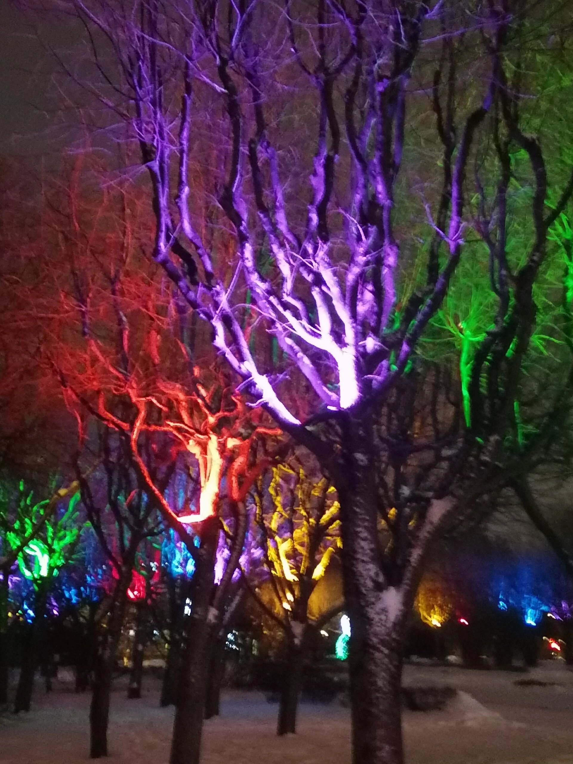 Фото Кварталъ