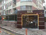 Secret Alternative Enjoyment (Ankara Province, Cankaya District, Bahçelievler Mah., 58. Sok., 22A), cafe
