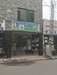Pet experts (Model Town, 58), pet shop
