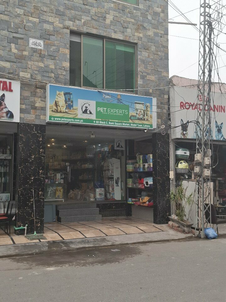 Pet shop Pet experts, Lahore, photo