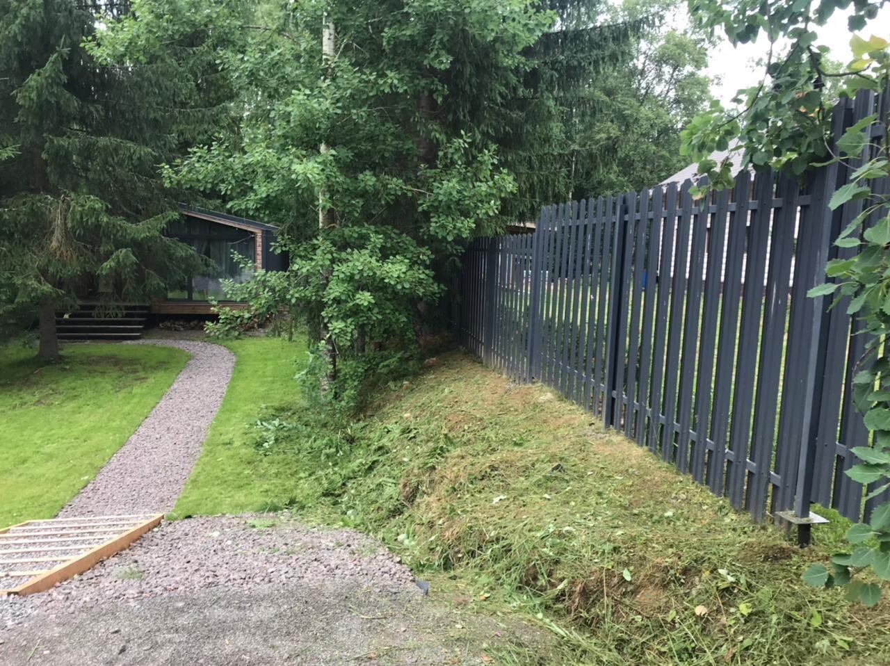 Фото ЁлкИголки