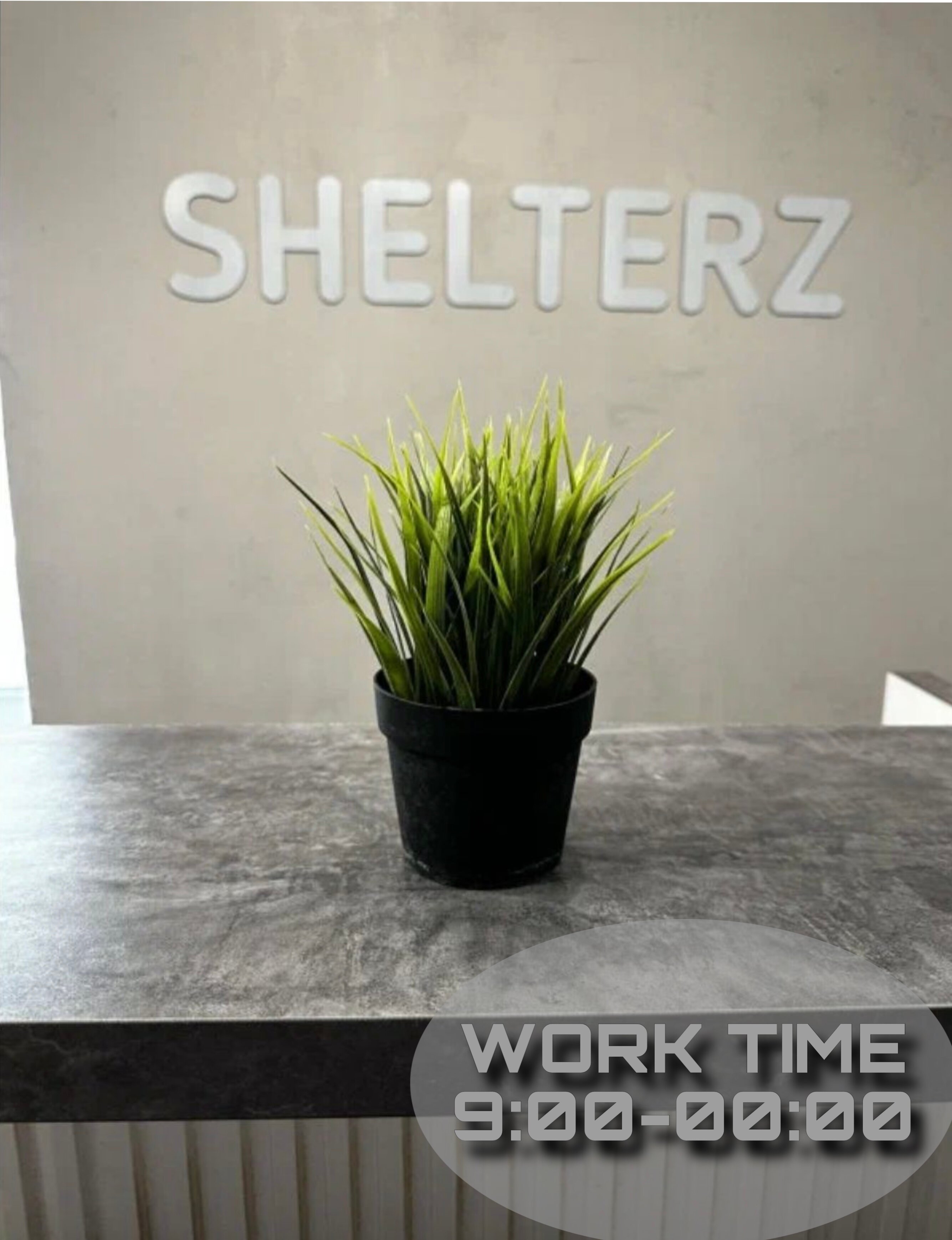 Фото Shelterz Три вокзала