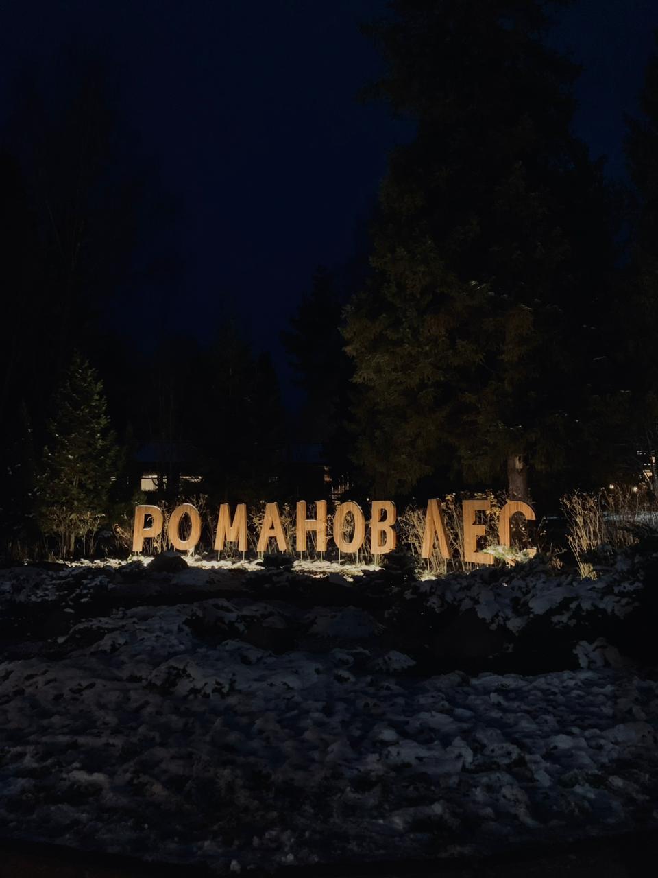 Фото Романов лес