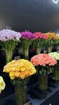 Цветы радости (Stoleshnikov Lane, 6с5) ، محل زهور