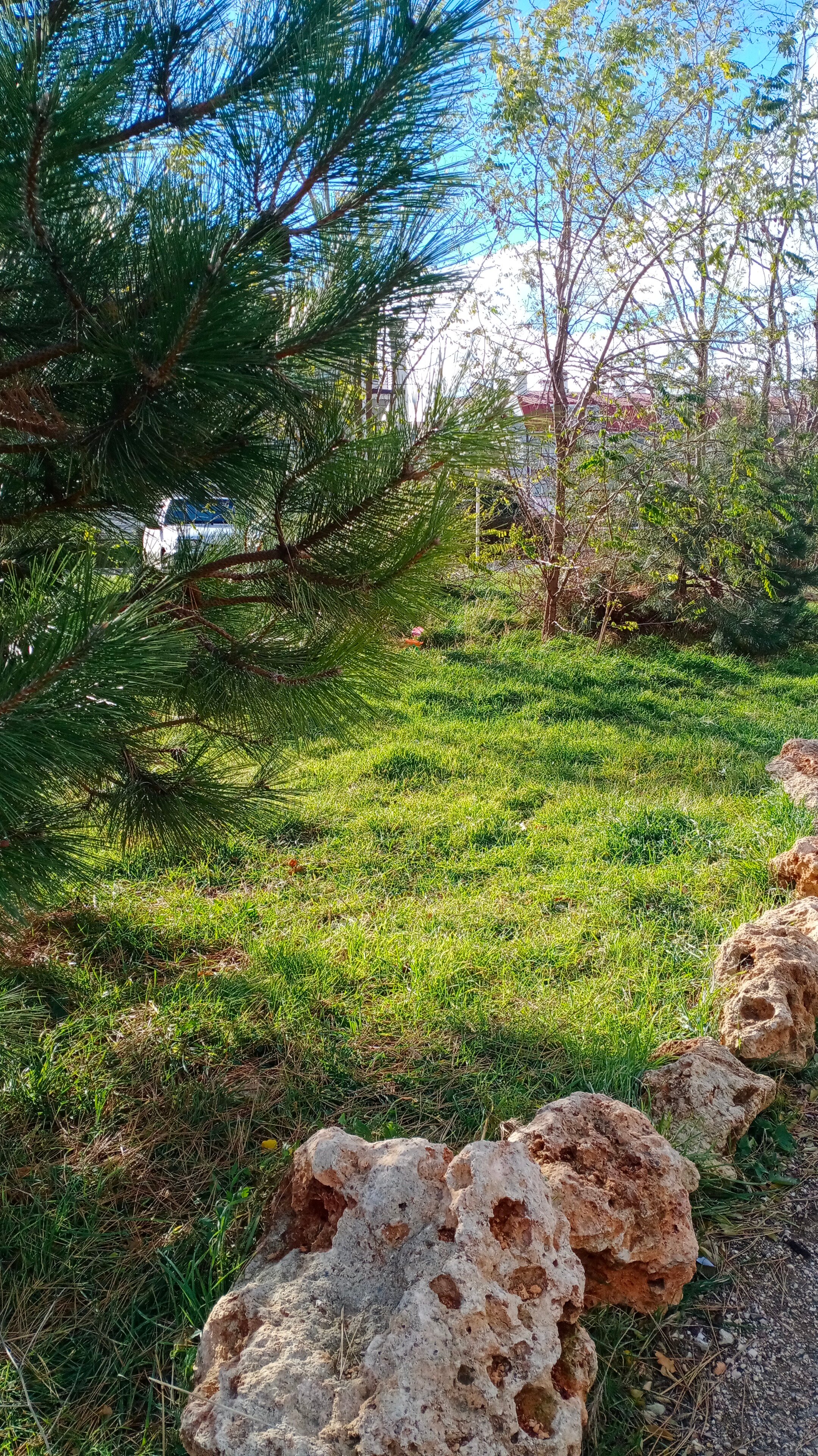 Фото Мыс Фиолент