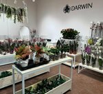 Darwin (Grabtsevskoye Highway, 4Б), floristeria